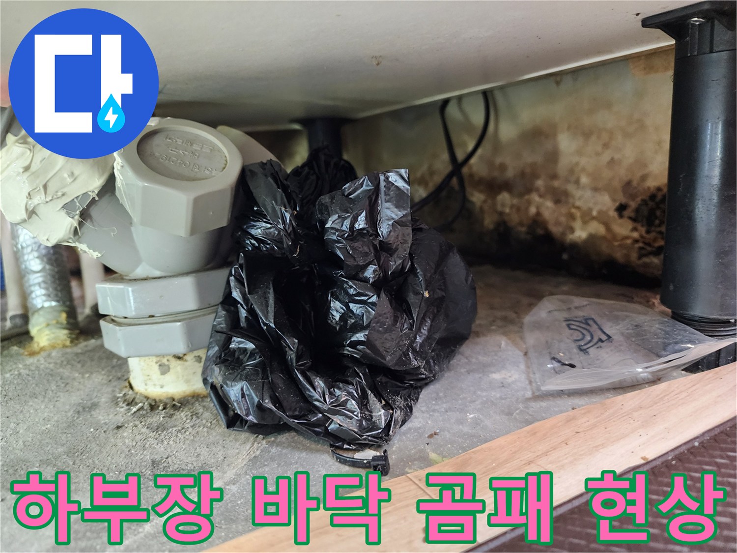 배관 주변 벽면에 발생한 곰팡이와 축축한 습기 상태