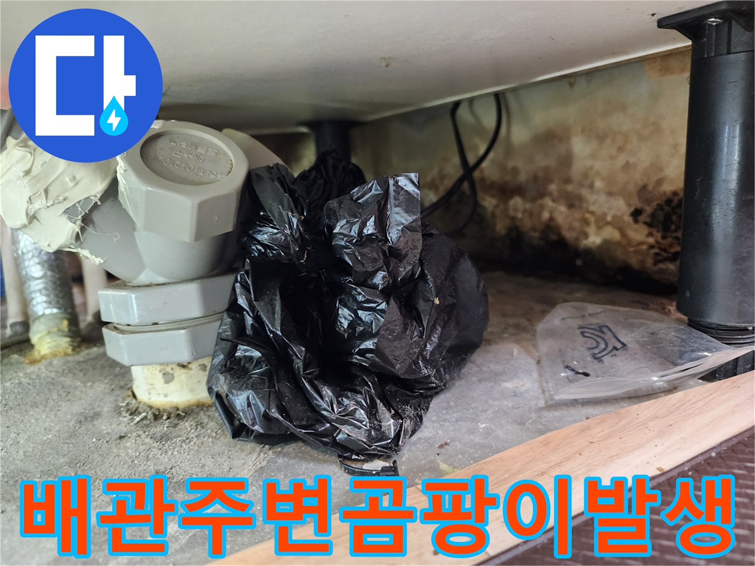 싱크대-하부-배관-밑의-검은-곰팡이와-오염된-벽면상태