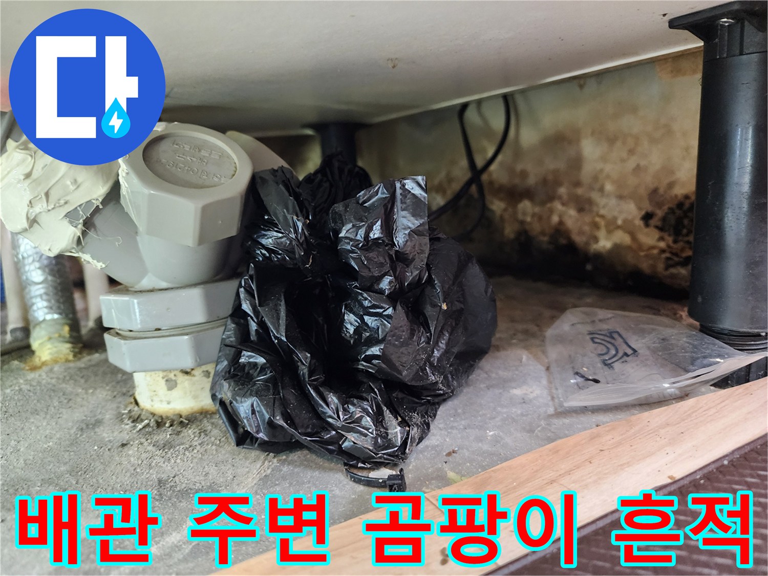싱크대-하부-배관-주변의-심한-습기와-곰팡이-발생