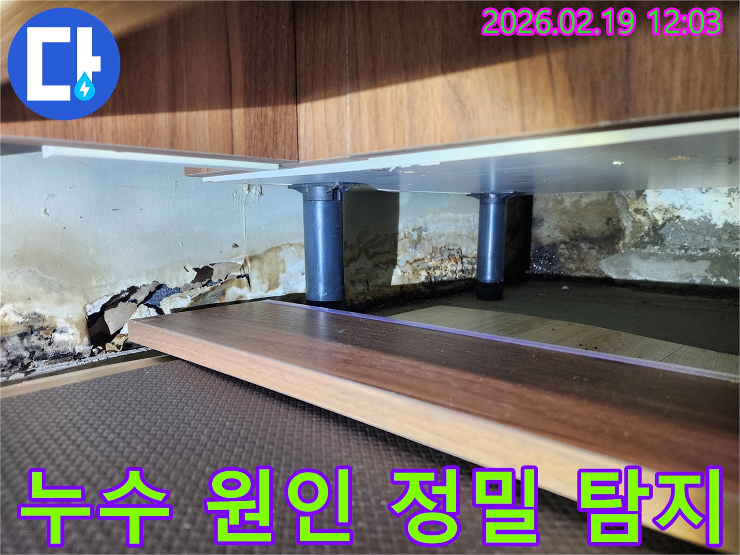 싱크대 하부 벽면의 심각한 누수 흔적-벽지 손상과 곰팡이가 광범위하게 퍼진 상태를 전문가가 진단