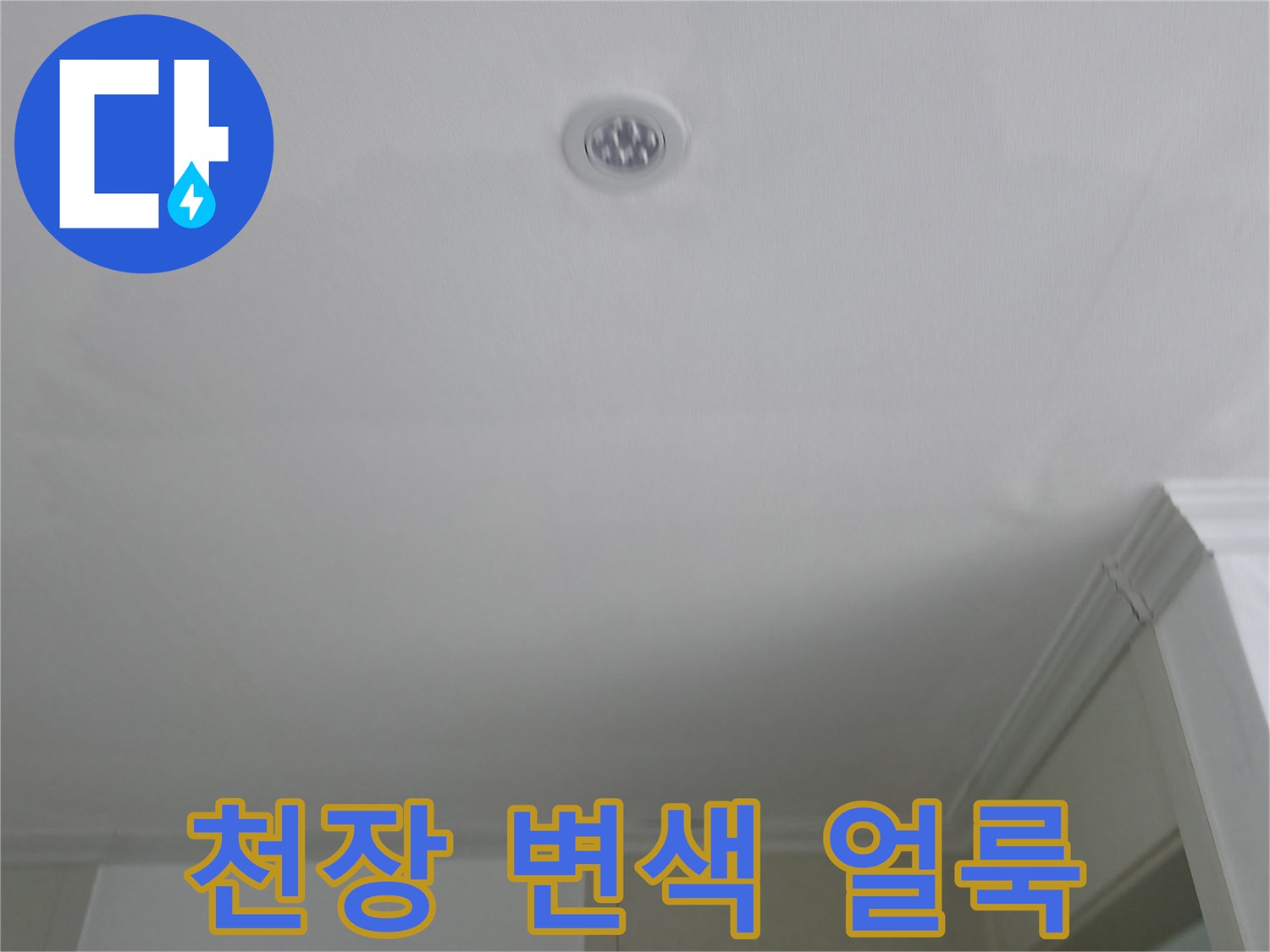 넓게 퍼진 형태의 천장 누수 자국