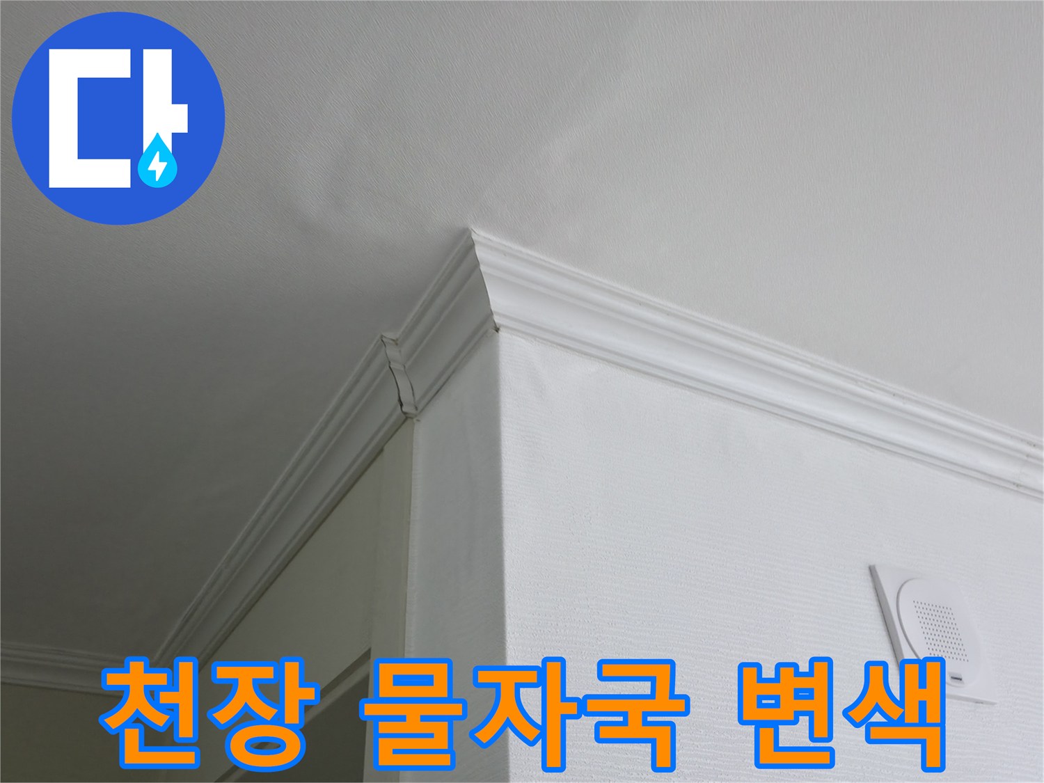 의정부 현장-화장실 입구 천장 얼룩과 변색 상태