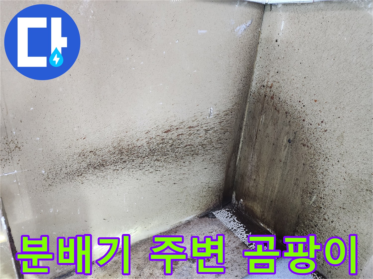 보일러 분배기 근처 벽면의 심한 곰팡이와 습기 흔적