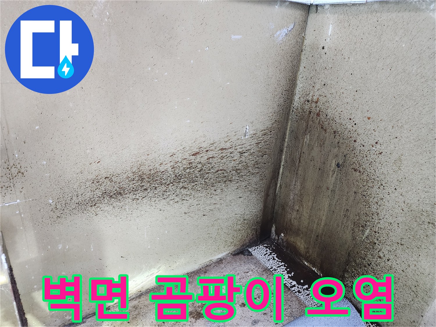 분배기 주변 벽면에 발생한 심한 곰팡이와 물자국