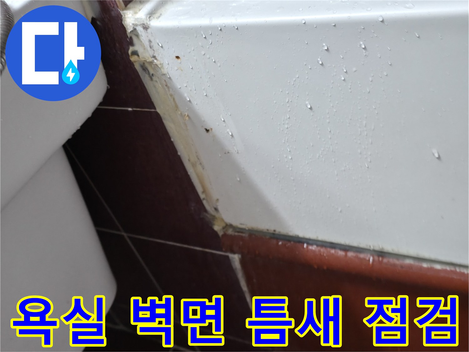 백석동 현장-타일 사이 벌어진 균열 부위 촬영