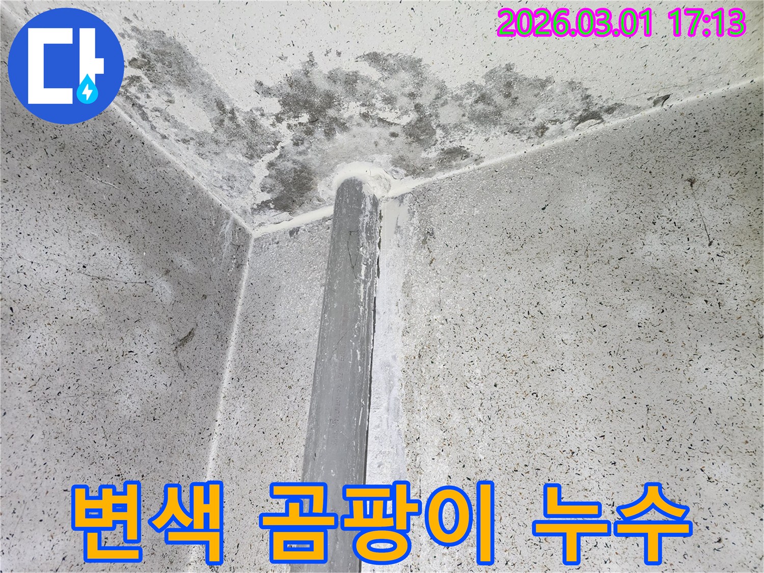 어두운 색으로 변색된-천장과 벽면의 곰팡이-누수 진단 필요