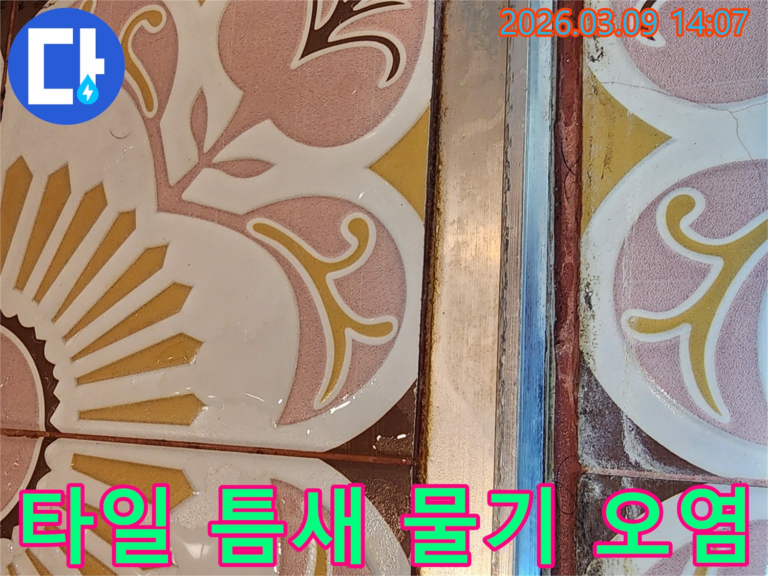 타일 줄눈과 가장자리에 물기가 스며들어-오염된 누수 현장을 보여주는 사진입니다.