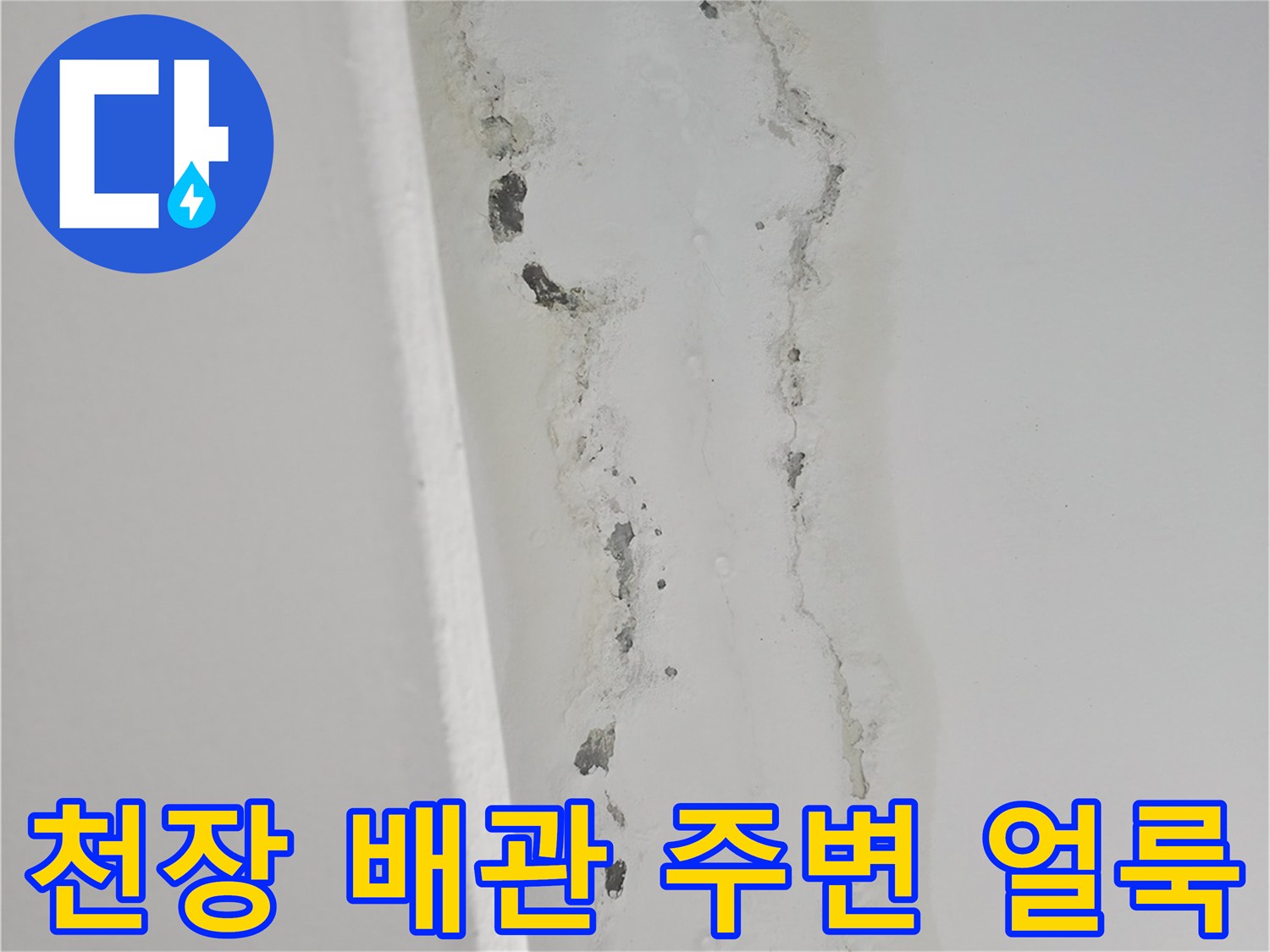 소흘읍 현장-배관 근처의 누수 및 곰팡이 흔적