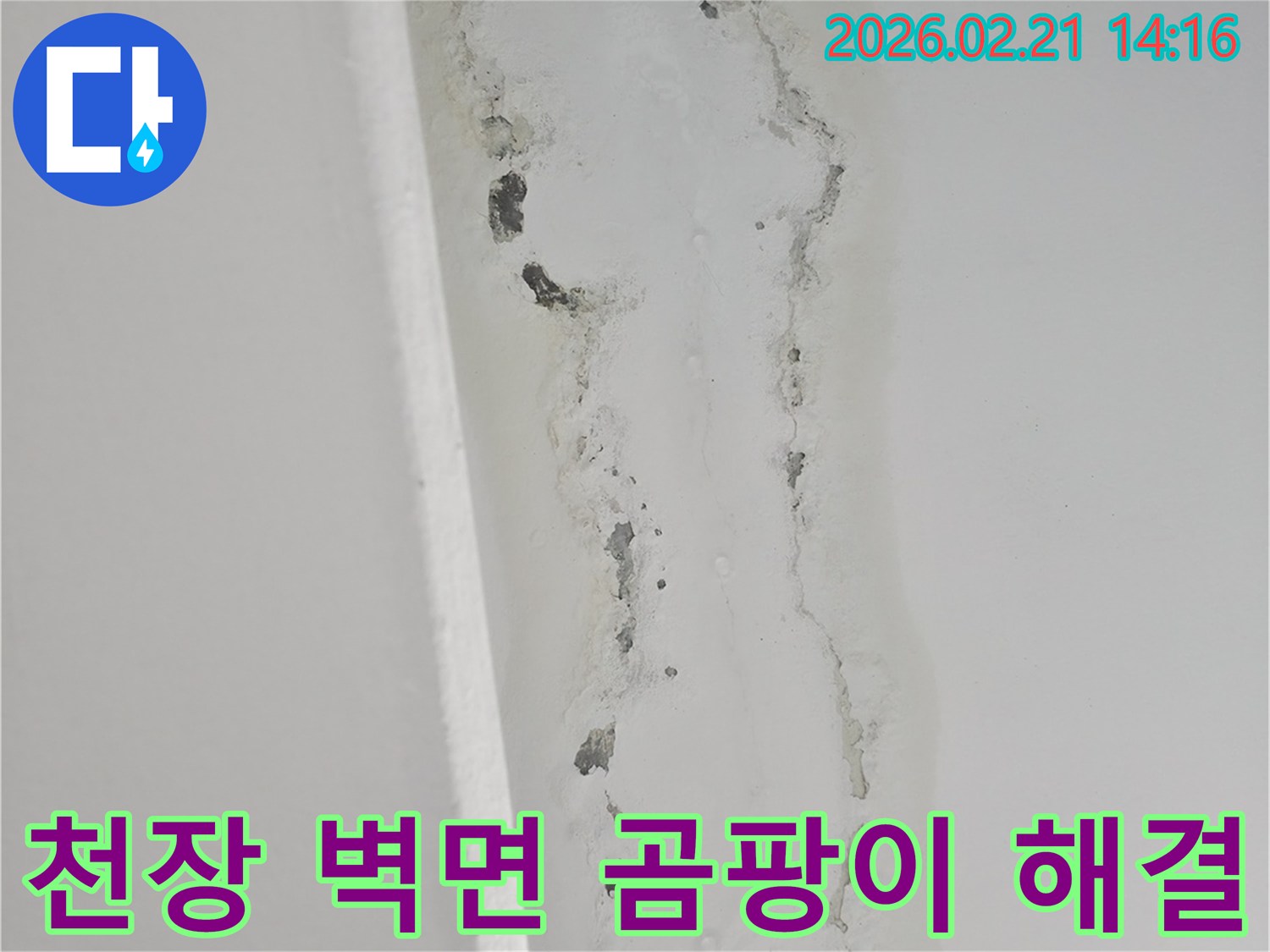 천장-누수로-인한-벽면의-심각한-곰팡이와-물자국을-보여주는-사진