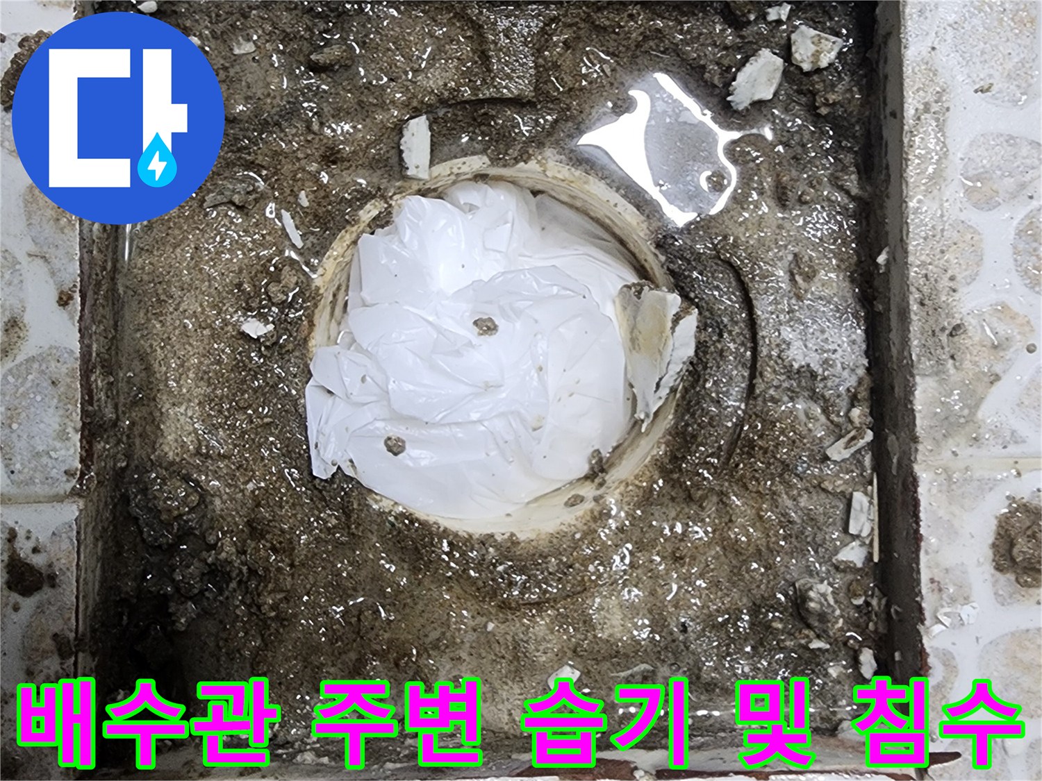 유가 배관 주위의 젖은 타일과 방수층 손상 부위 근접 촬영