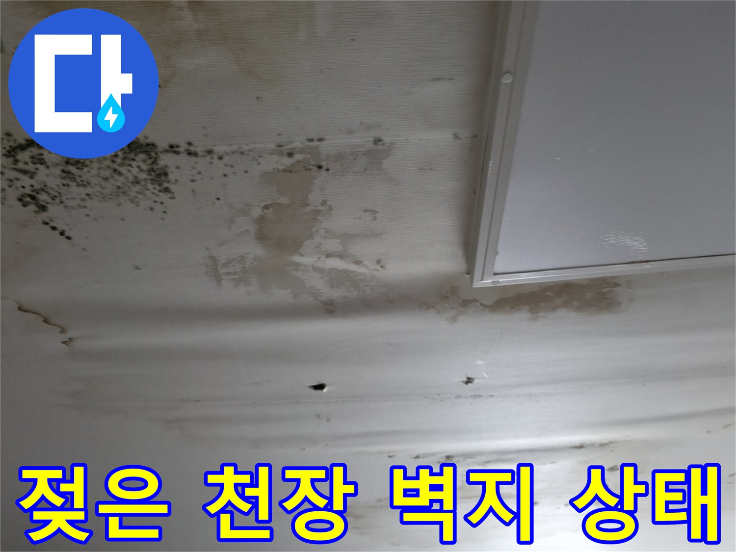 습기로-들뜨고-변색된-천장-벽지-면의-모습