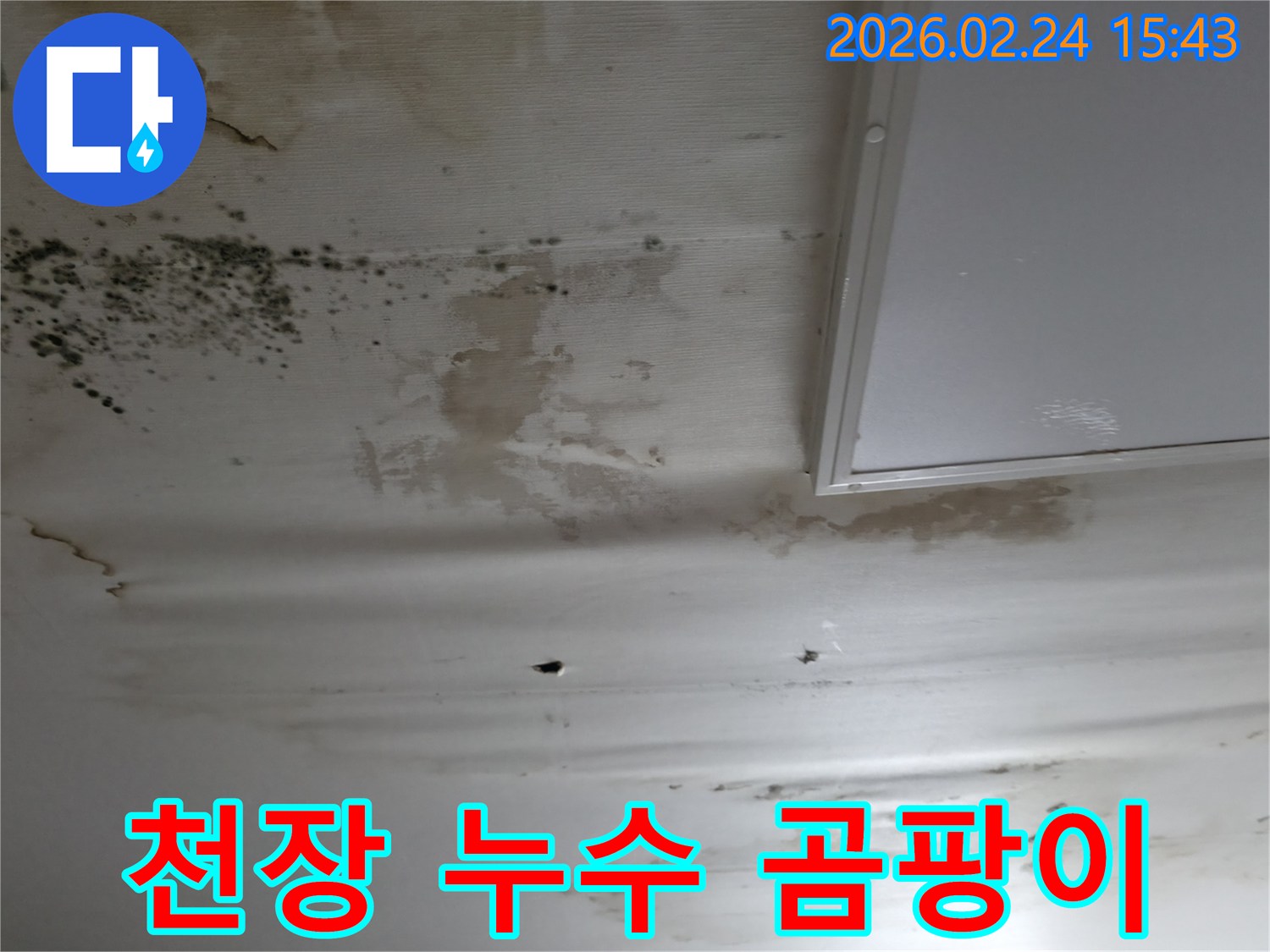 천장 누수와-곰팡이-발생으로-인한-심각한-손상-모습을-보여주는-이미지