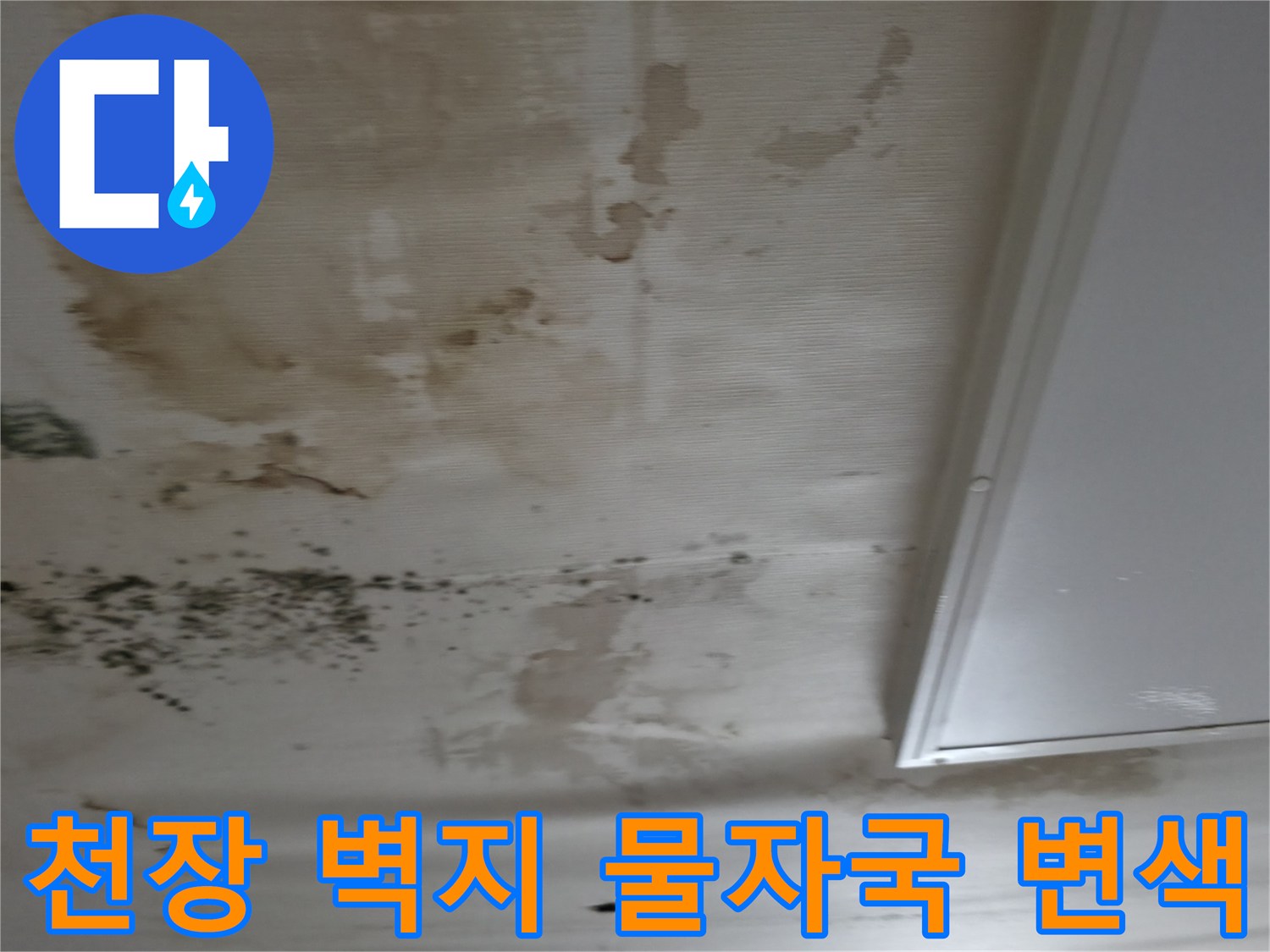 천장-벽지가-물에-젖어-변색된-현장-모습