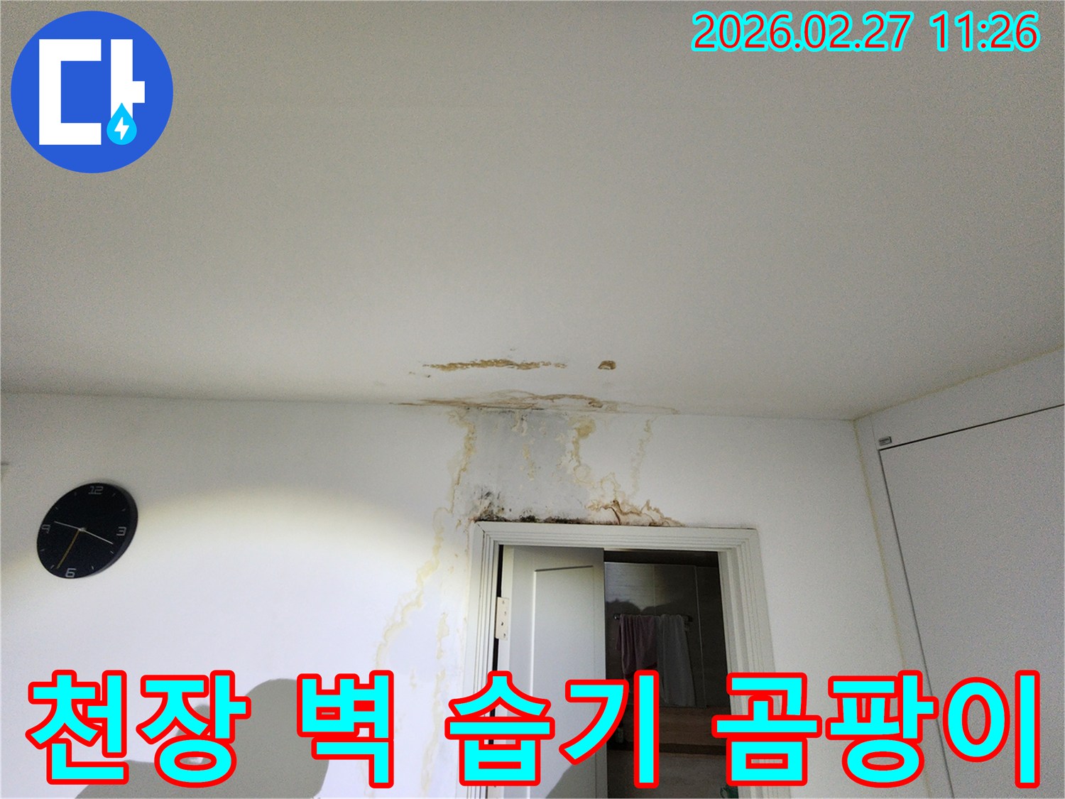 천장과-벽면에-누수로-인한-습기와-곰팡이-징후가-보이는-현장-점검-사진