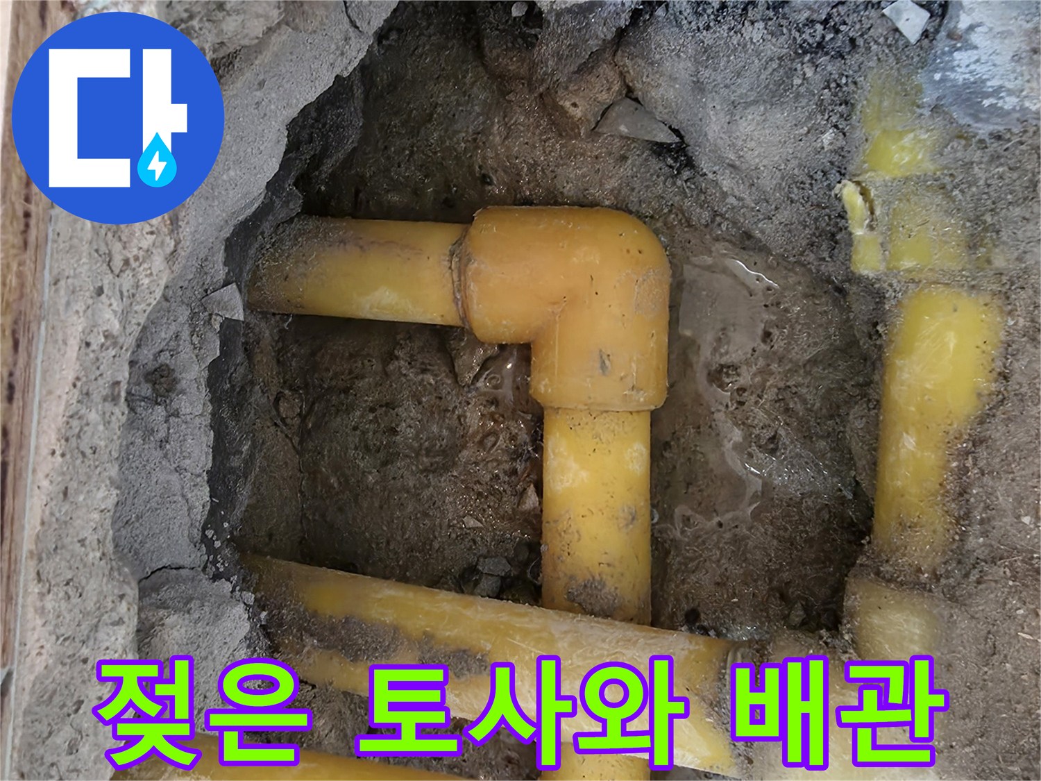 누수로 인해 습기가 머금어진 흙과 노란색 배관의 상태
