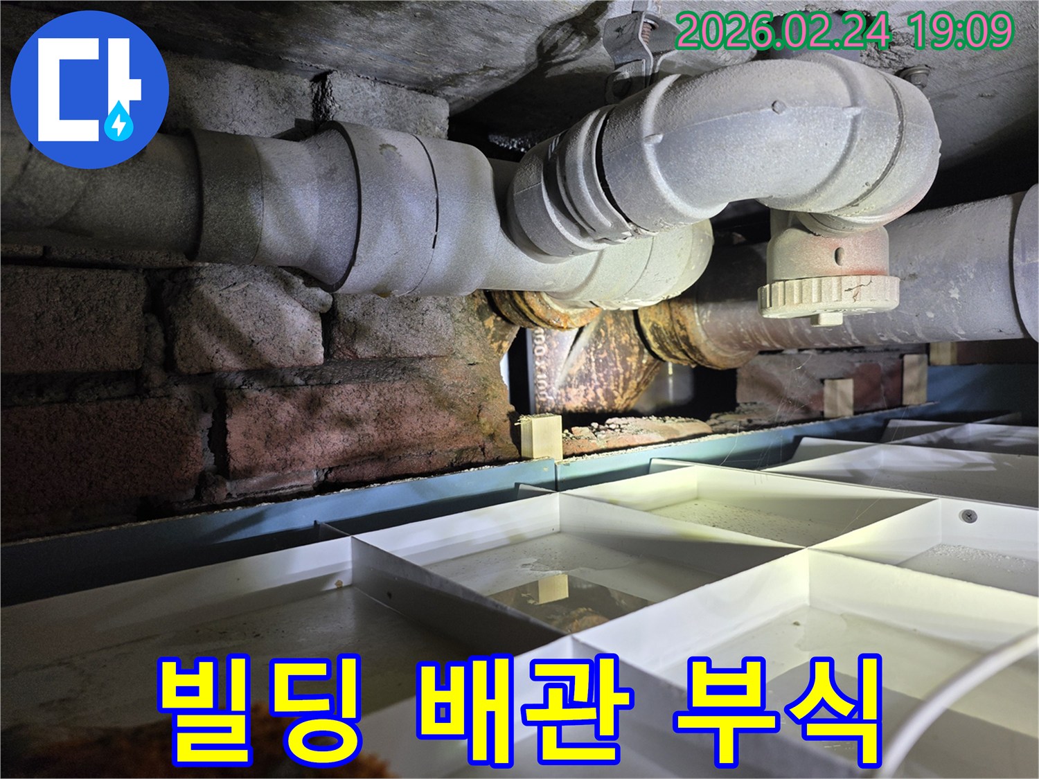 복잡하게-얽힌-배관-사이에서-발생한-누수-지점을-정밀하게-탐지하는-현장-사진