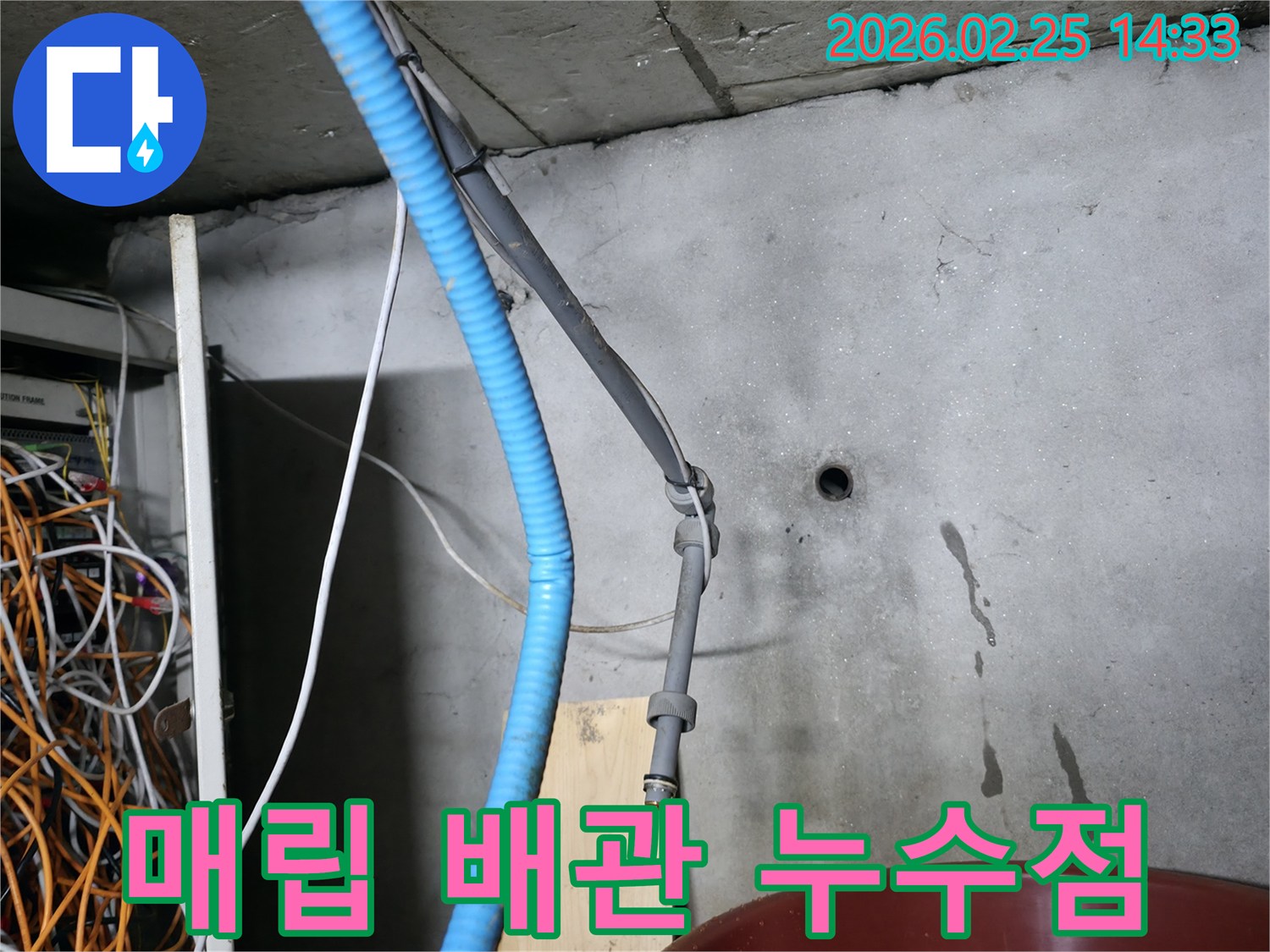 강동구-누수-현장에서-전문가가-매립된-배관-주변의-물기-흔적을-정밀하게-살피는-모습입니다
