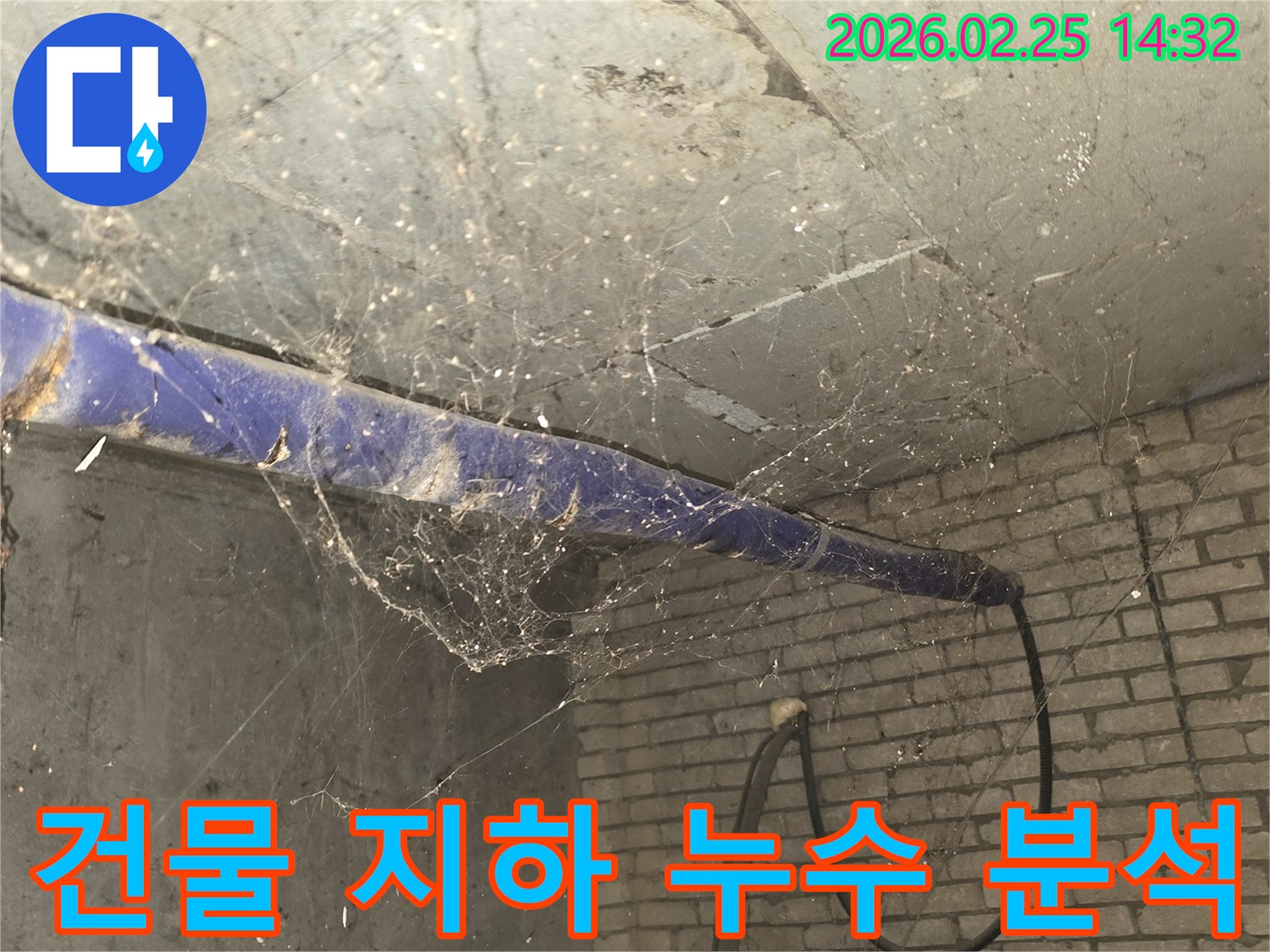 강동구 진황도로 인근 오래된 건물-지하 천장에 거미줄이 엉켜있는-누수 흔적 심층 분석 전-현장 준비 모습을 담은 사진입니다.