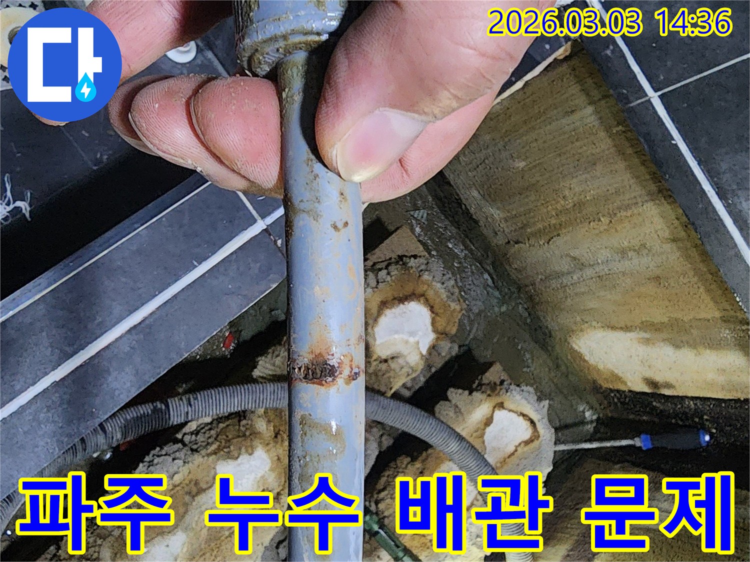 전문가가-누수 탐지 중-녹슨 배관을-발견한 순간