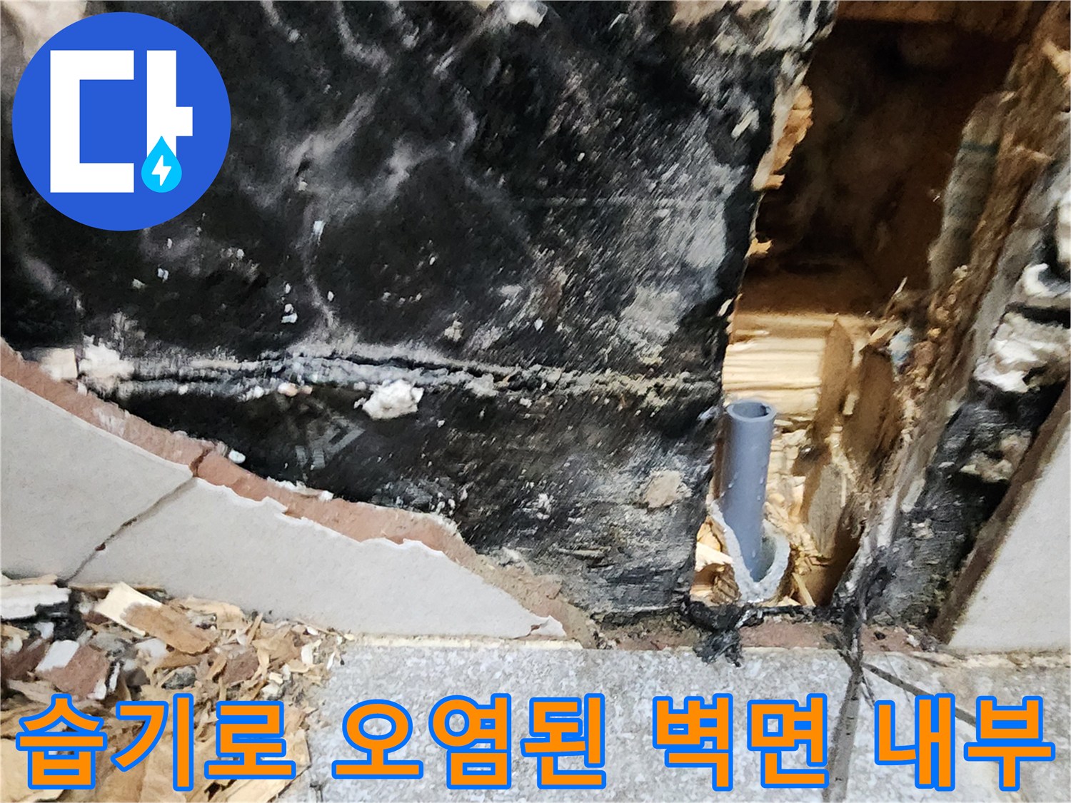 누수로 인해-검게 변색되어-곰팡이가 핀 벽체