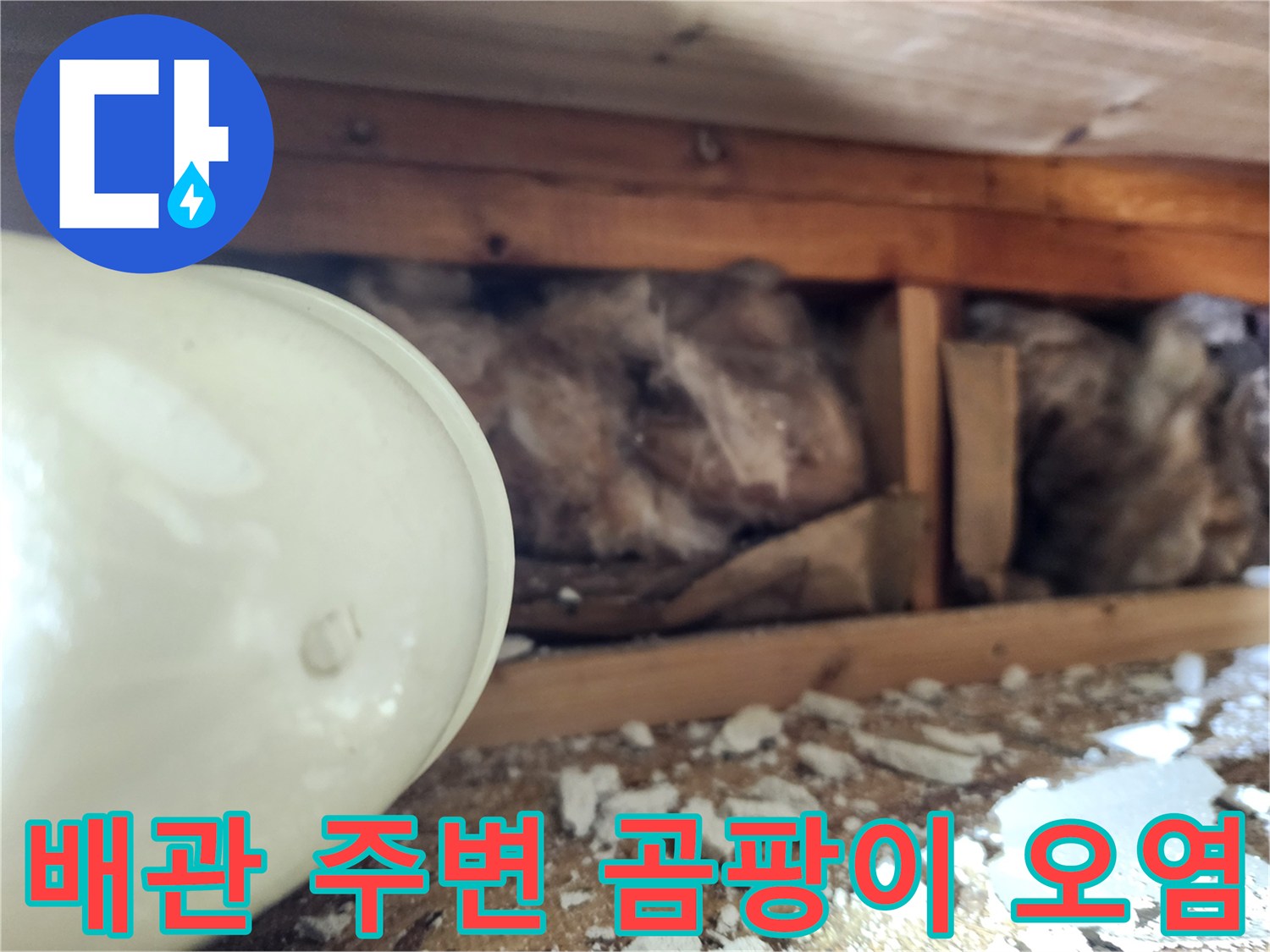 배관 근처 천장 구조물에 발생한 곰팡이와 습기 흔적입니다.