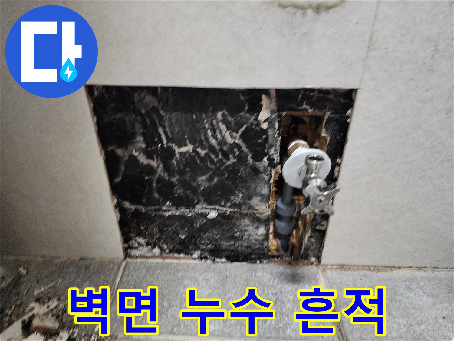 화장실 벽면 내부-물샘으로 인한 검은 변색과 곰팡이 상태