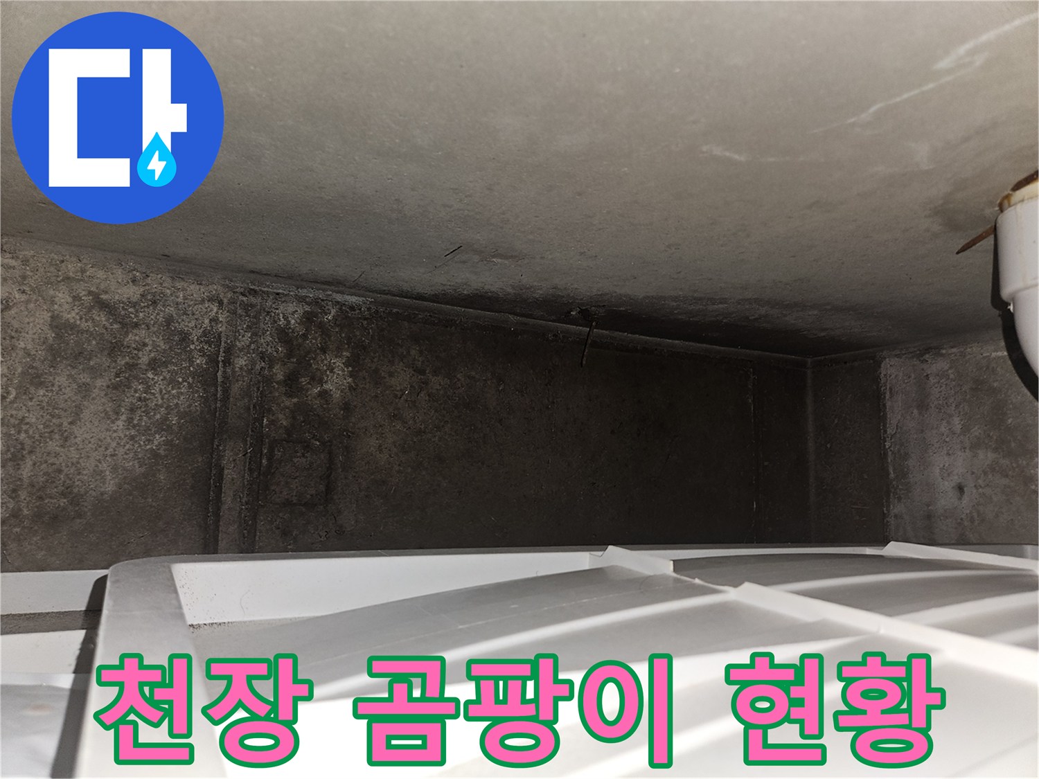 부천 오정구 현장의-천장 및 벽면 곰팡이 상태