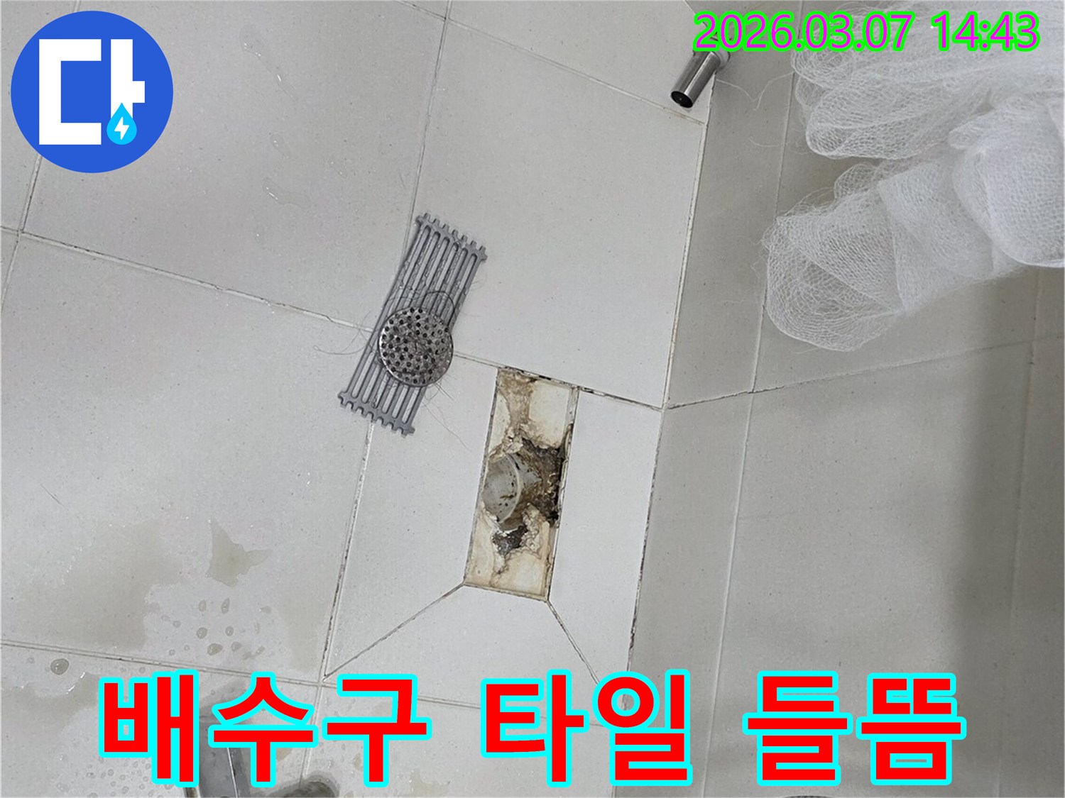 욕실 배수구 주변의-타일이 들떠서-누수가 발생한-현장을 보여줍니다