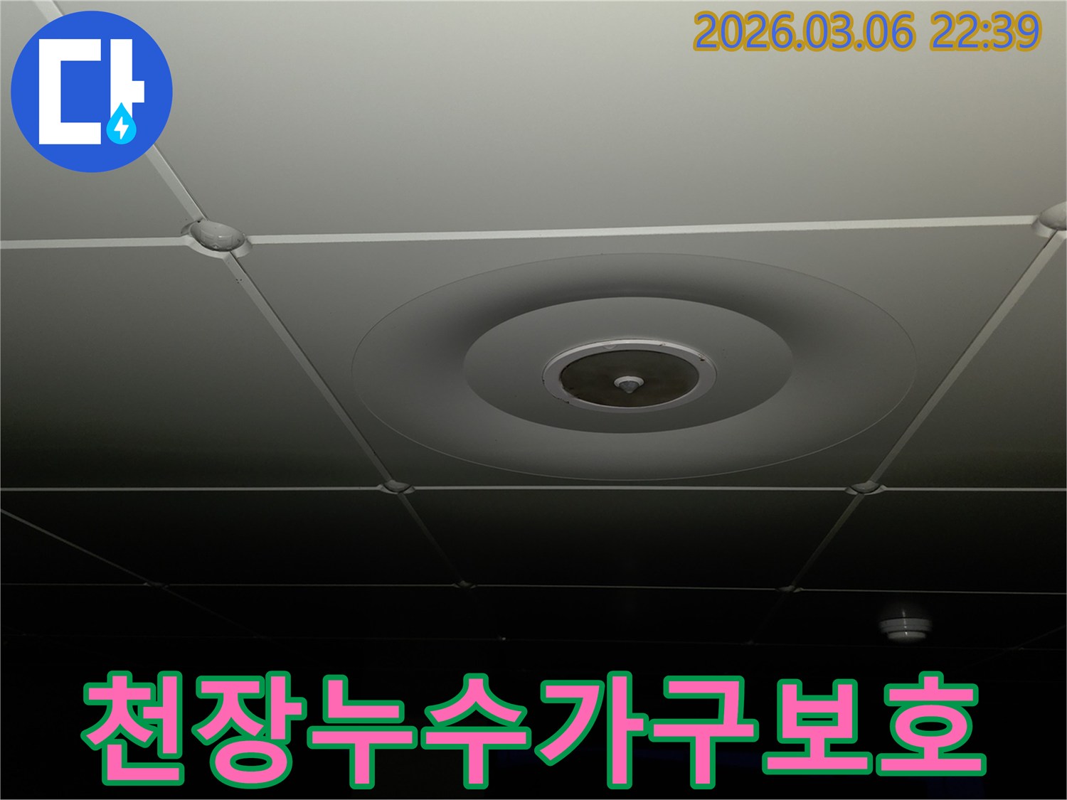 누수 전문가가-천장 누수-현장에서-주변-가구나-집기를-보호하기-위한-조치를-취하는-모습