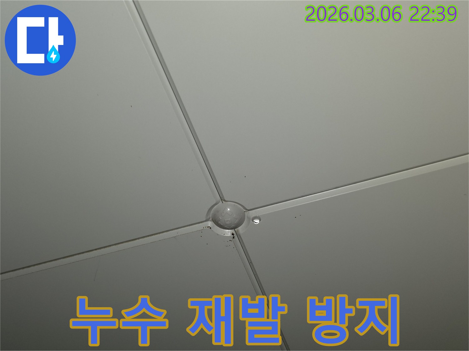 천장 마감재 교차점에서-작은 물방울이 맺혀있는-누수 초기 증상 현장