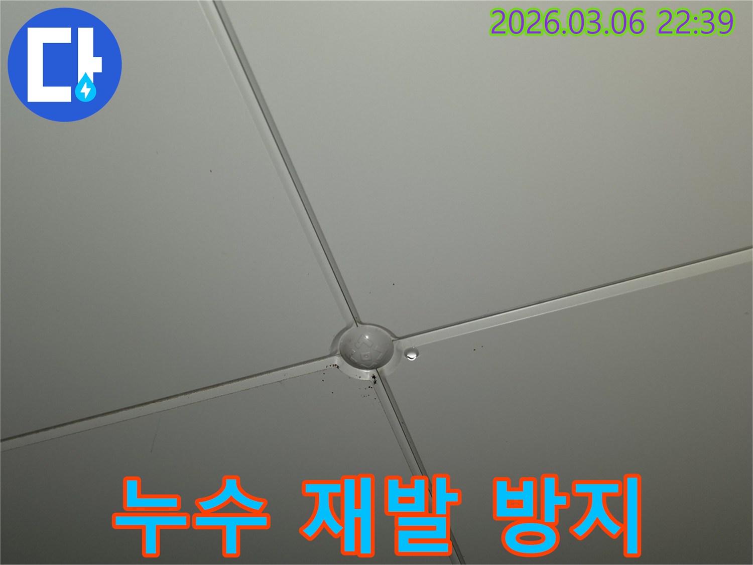 천장 마감재 교차점에서-작은 물방울이 맺혀있는-누수 초기 증상 현장