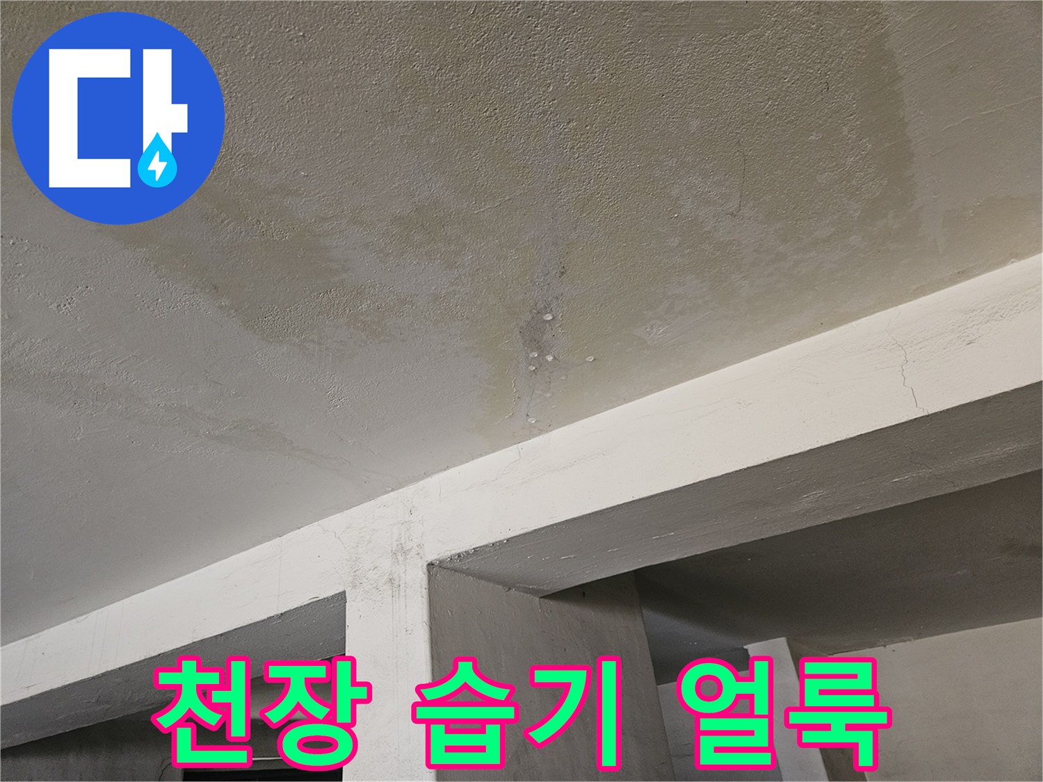 주차장 천장 콘크리트 면의 누수 흔적과 변색 부위