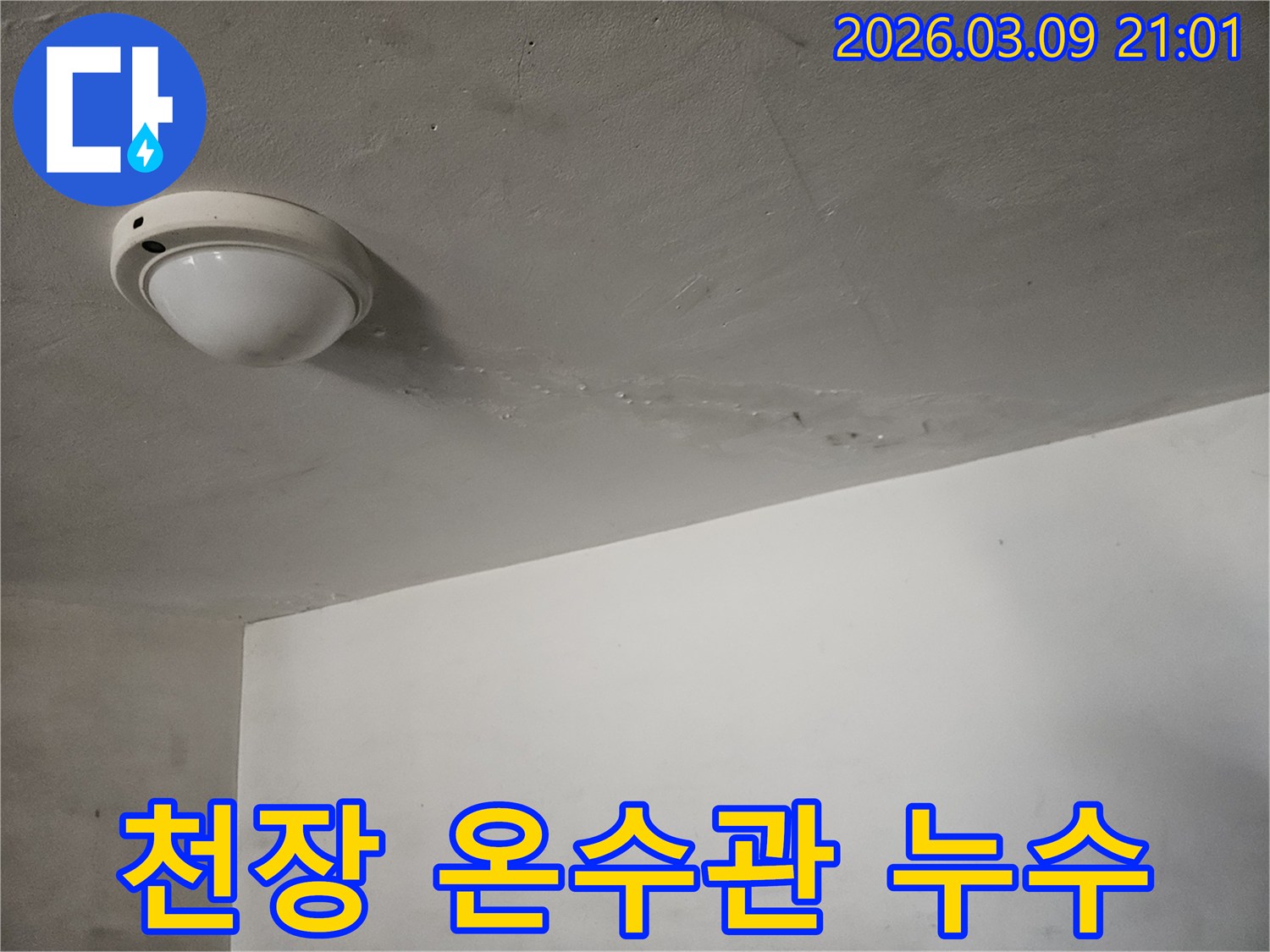 천장-조명-주변에-온수관-누수로-인해-물이-새어-나와-누런-얼룩이-생긴-현장입니다