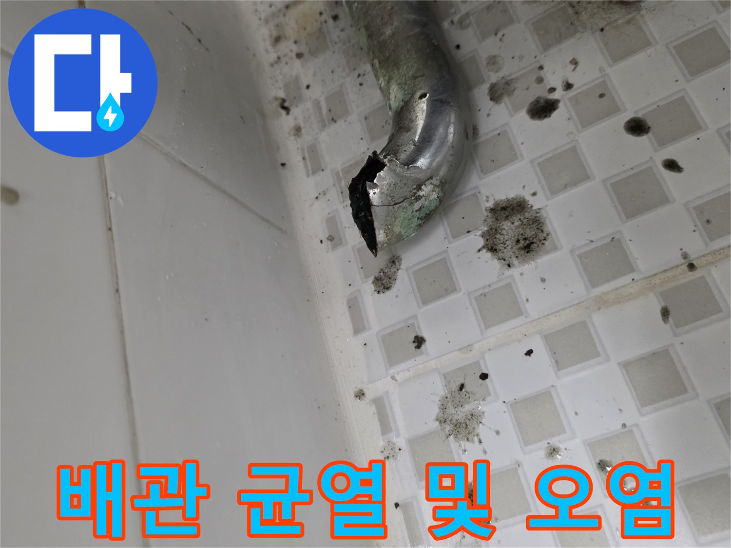 세면대-하단-배관의-파손된-틈새와-주변-오염물