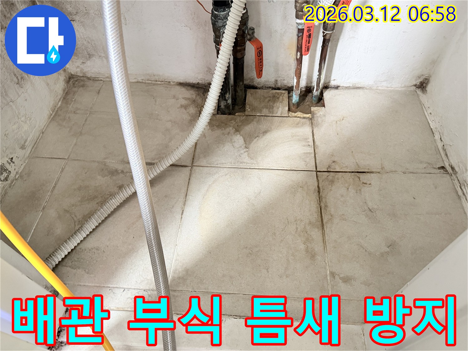 낡은-배관-연결부와-그-주변의-습기-및-곰팡이를-보여주는-누수-현장-사진