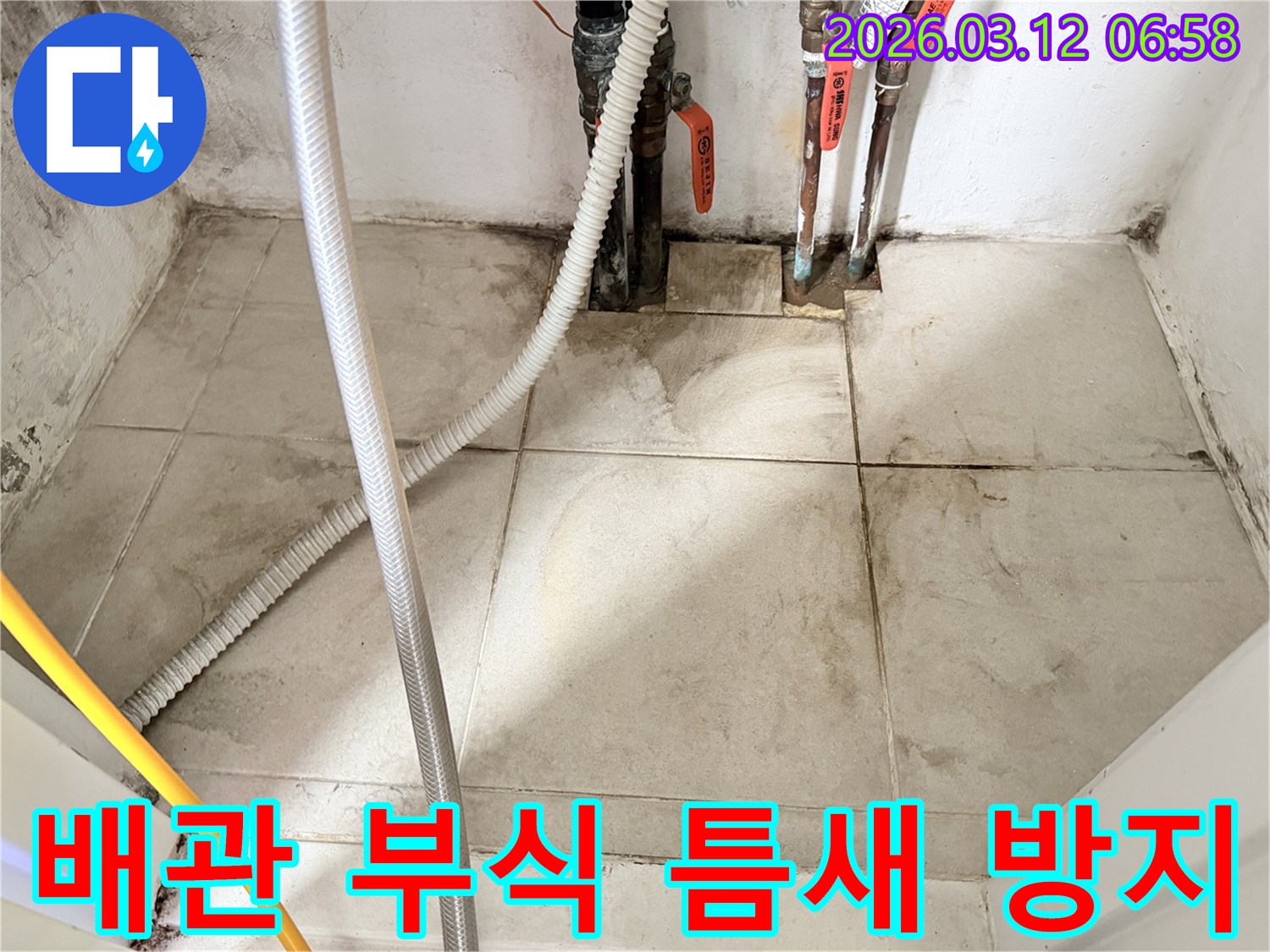 낡은-배관-연결부와-그-주변의-습기-및-곰팡이를-보여주는-누수-현장-사진