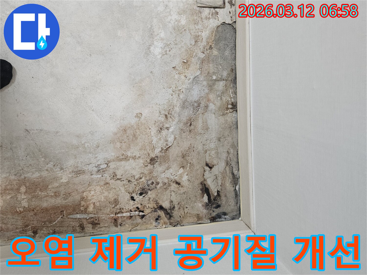마포구-누수-현장-바닥-오염-제거-및-실내-공기질-개선-작업-준비