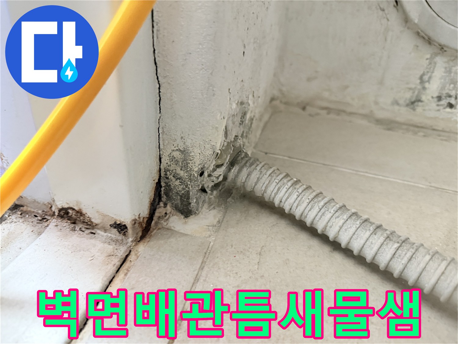 보일러-배관-주변-벽체-틈새의-곰팡이와-습기