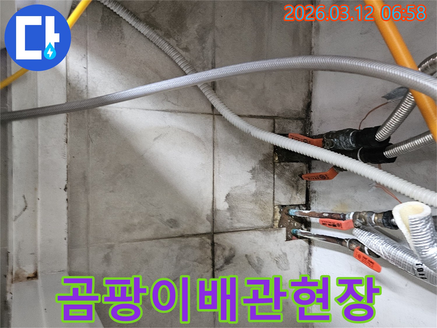 수도-배관-누수-탐지를-위해-촬영된-배관-및-주변-환경-기록