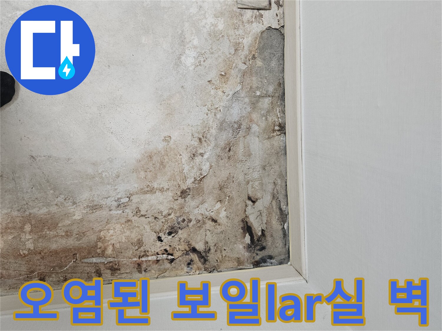 습기와-곰팡이로-얼룩진-보일러실-벽면-상태