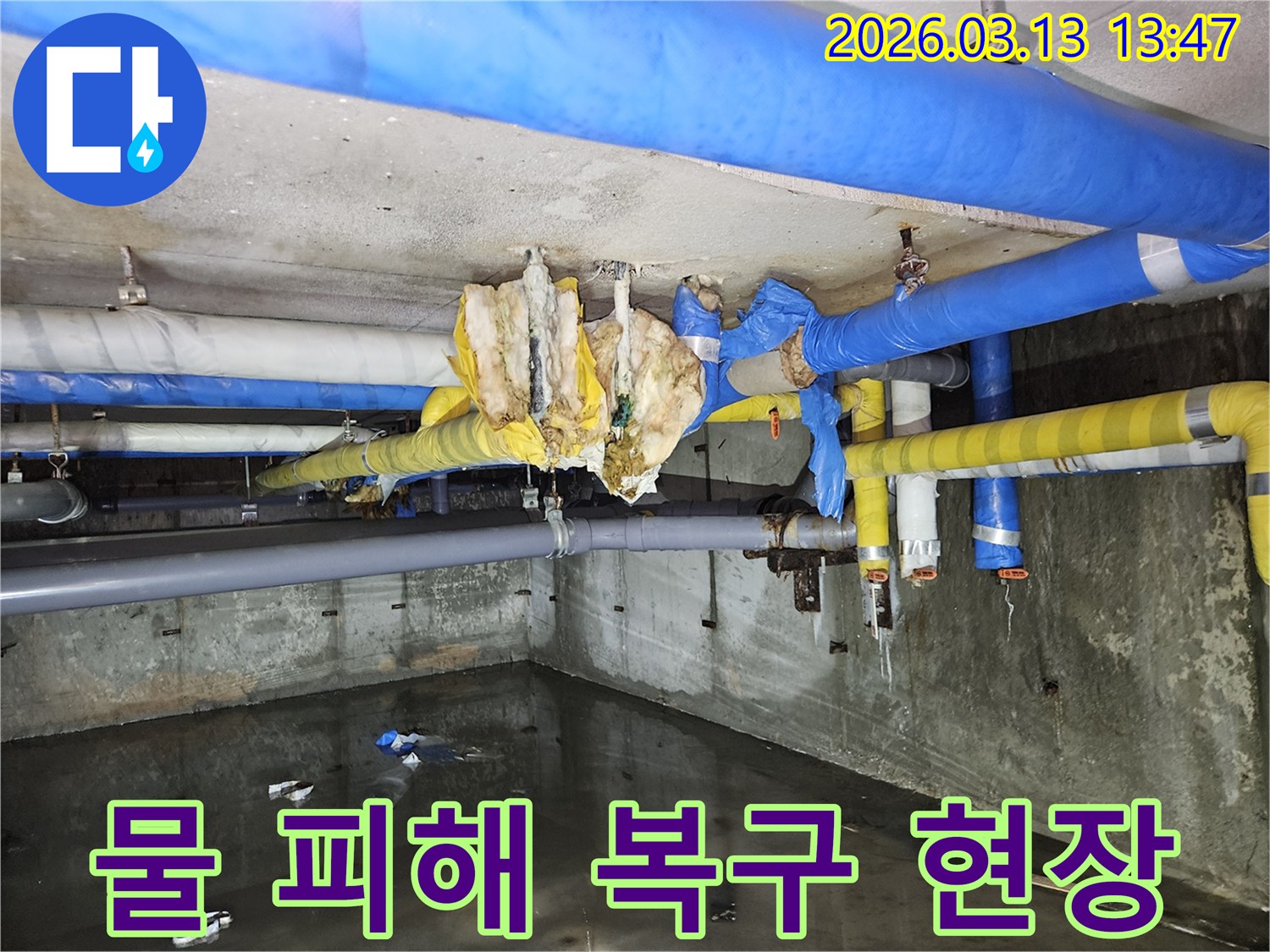 물에-잠긴-지하-공간의-물-피해를-복구하기-위한-작업-현장