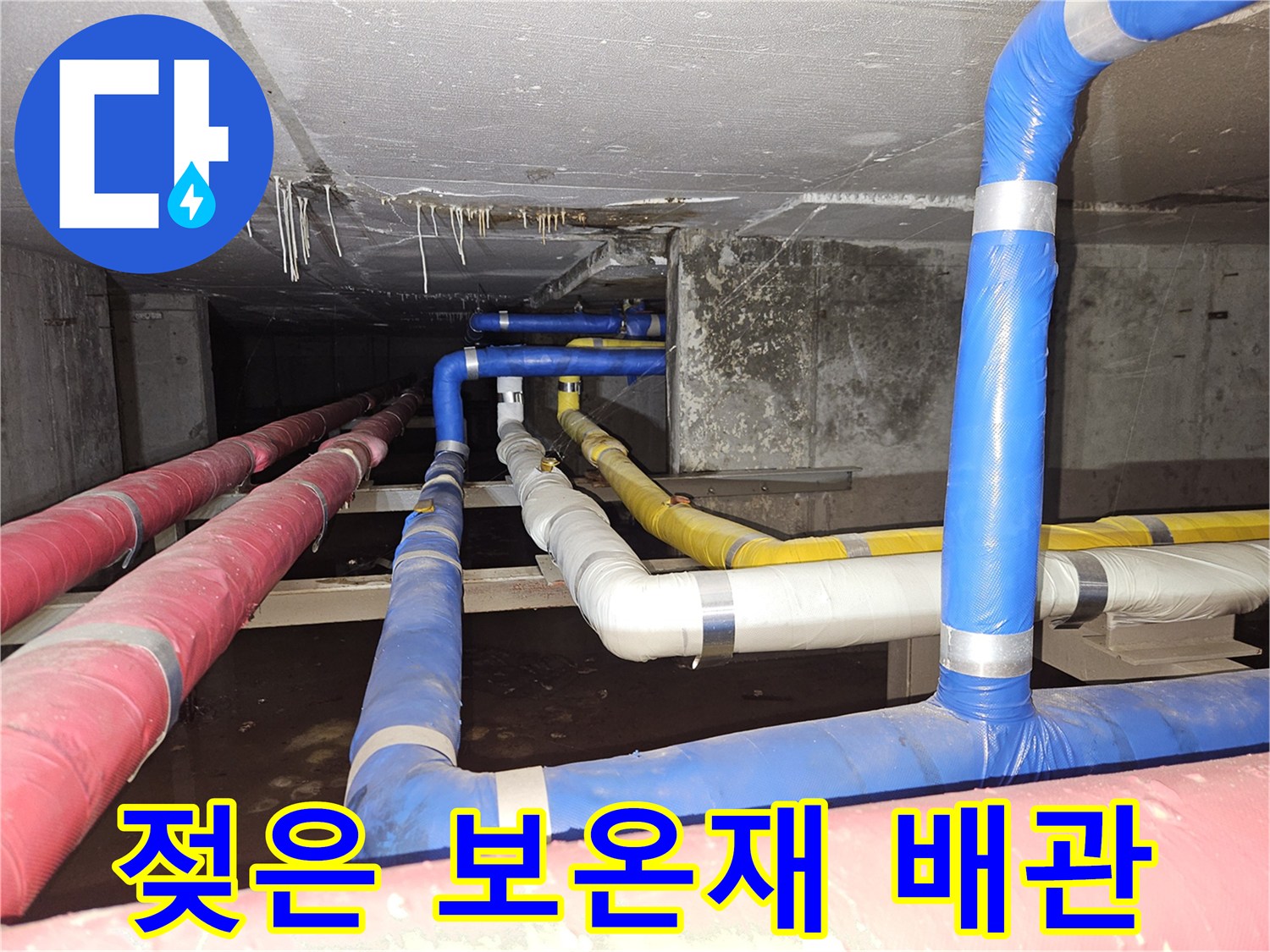 분당-구미동-빌라-지하-천장-누수-배관-상태-촬영