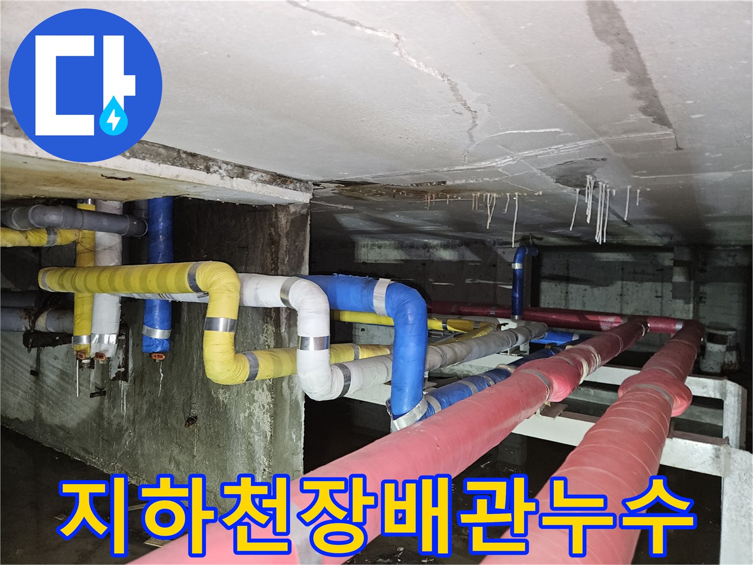 분당-구미동-빌라-지하-천장-배관-보온재-습기-확인