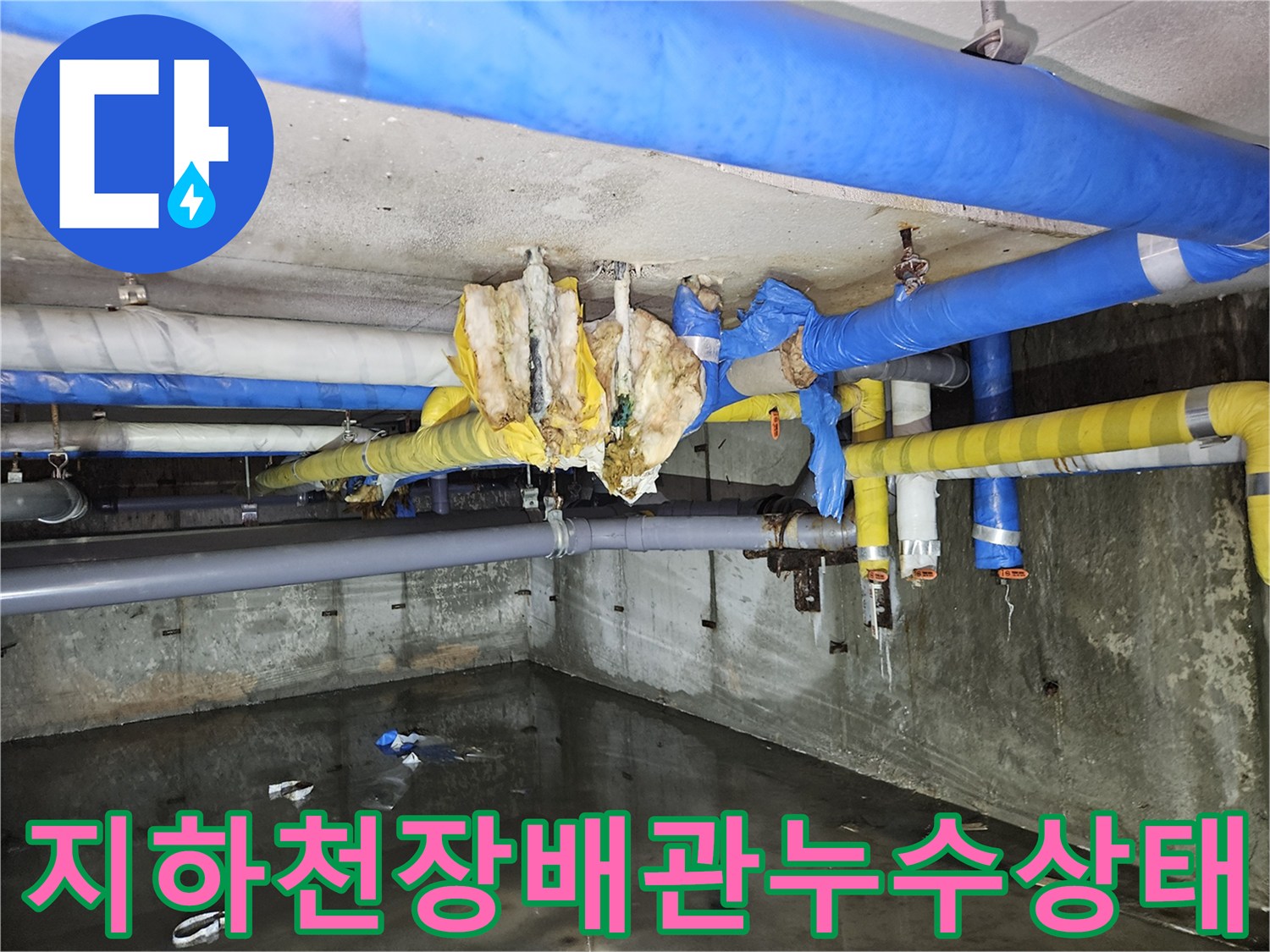 분당 구미동 지하 천장 배관 보온재가 젖어 있는 모습