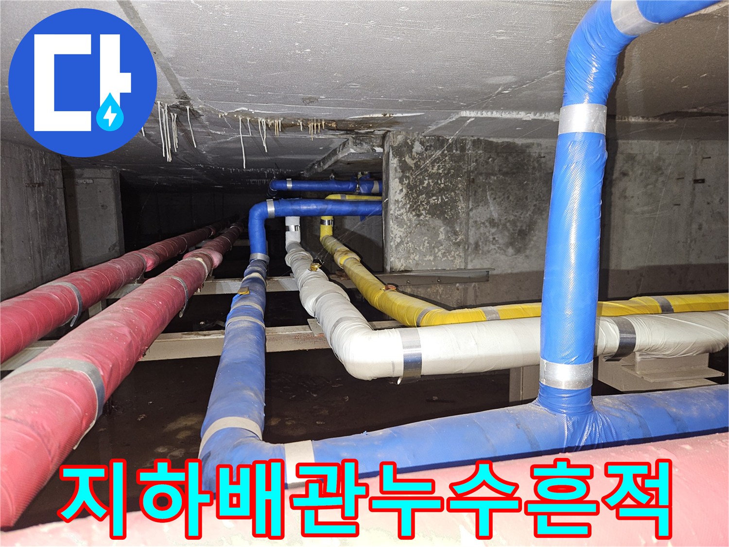 분당구미동-빌라-지하-천장-배관-보온재-젖음-상태