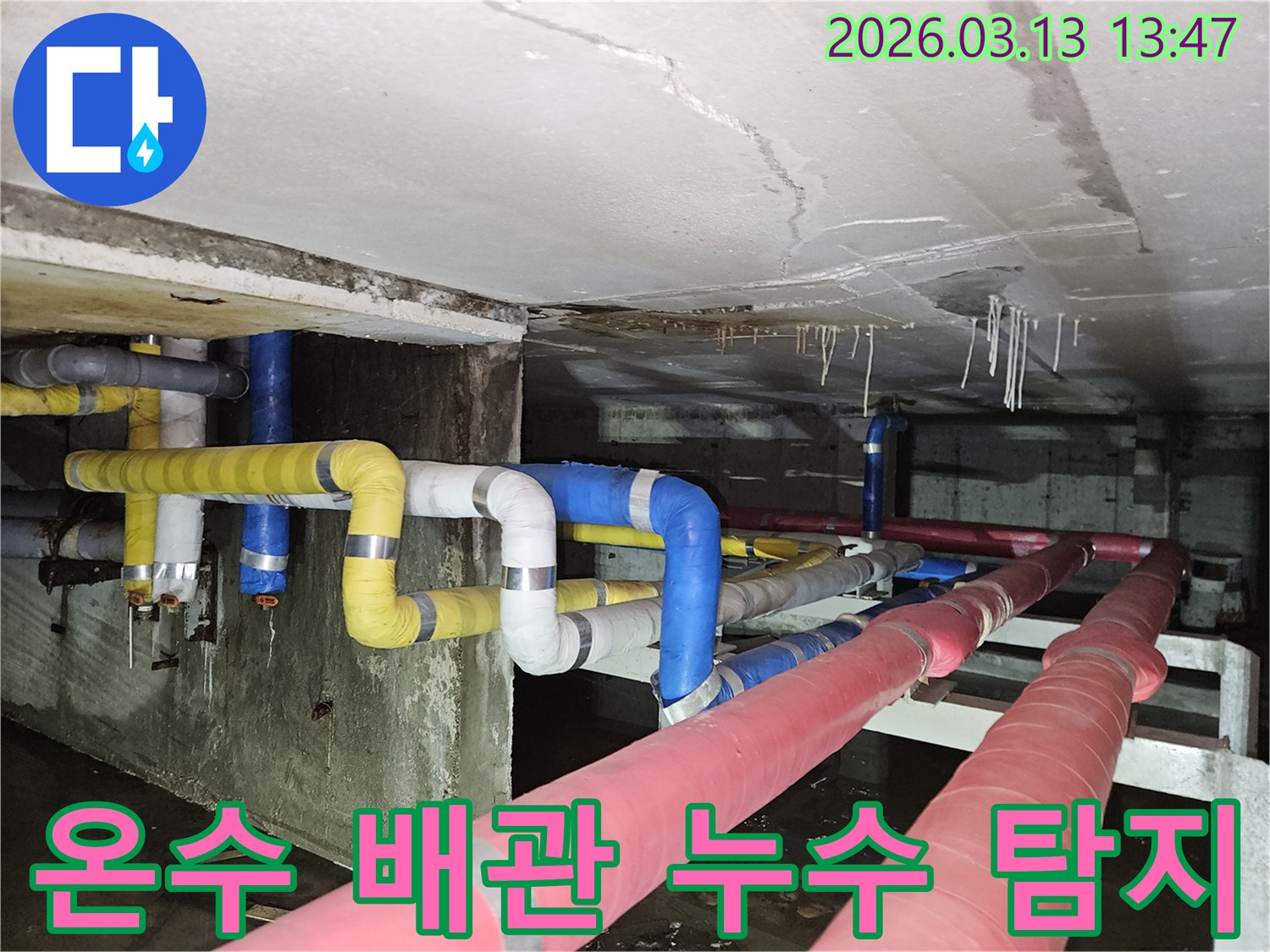 지하 천장의-붉은색 온수 배관에서-누수가 발생하여-물이 떨어지는-현장 사진