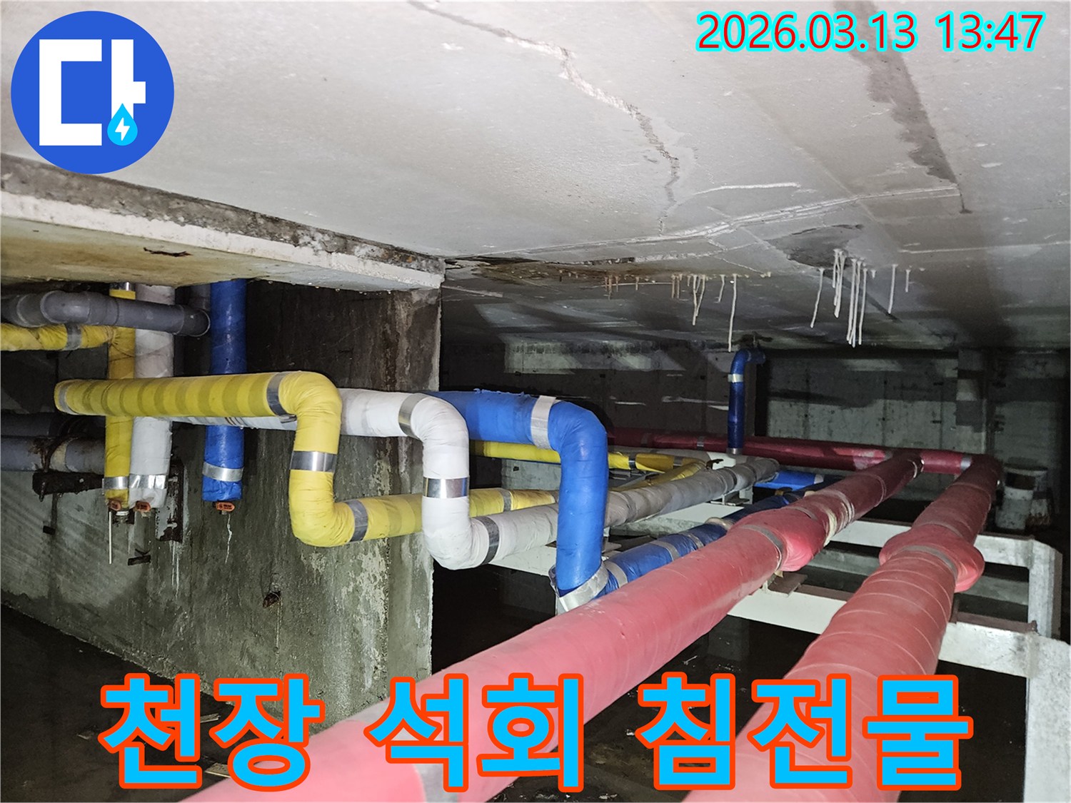 천장 콘크리트에서-누수로 인해-하얀 석회 침전물이-고드름처럼 형성된-모습을 보여주는 이미지