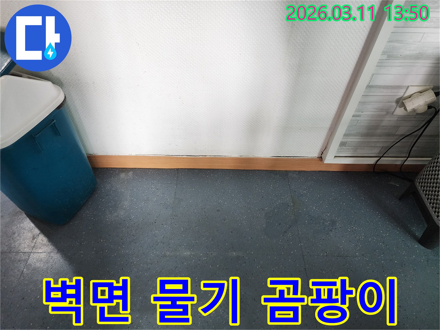 이천시 모가면 상가에서-벽면 하단에 물기가 있고 곰팡이가 발생한-누수 현장을 보여주는 사진