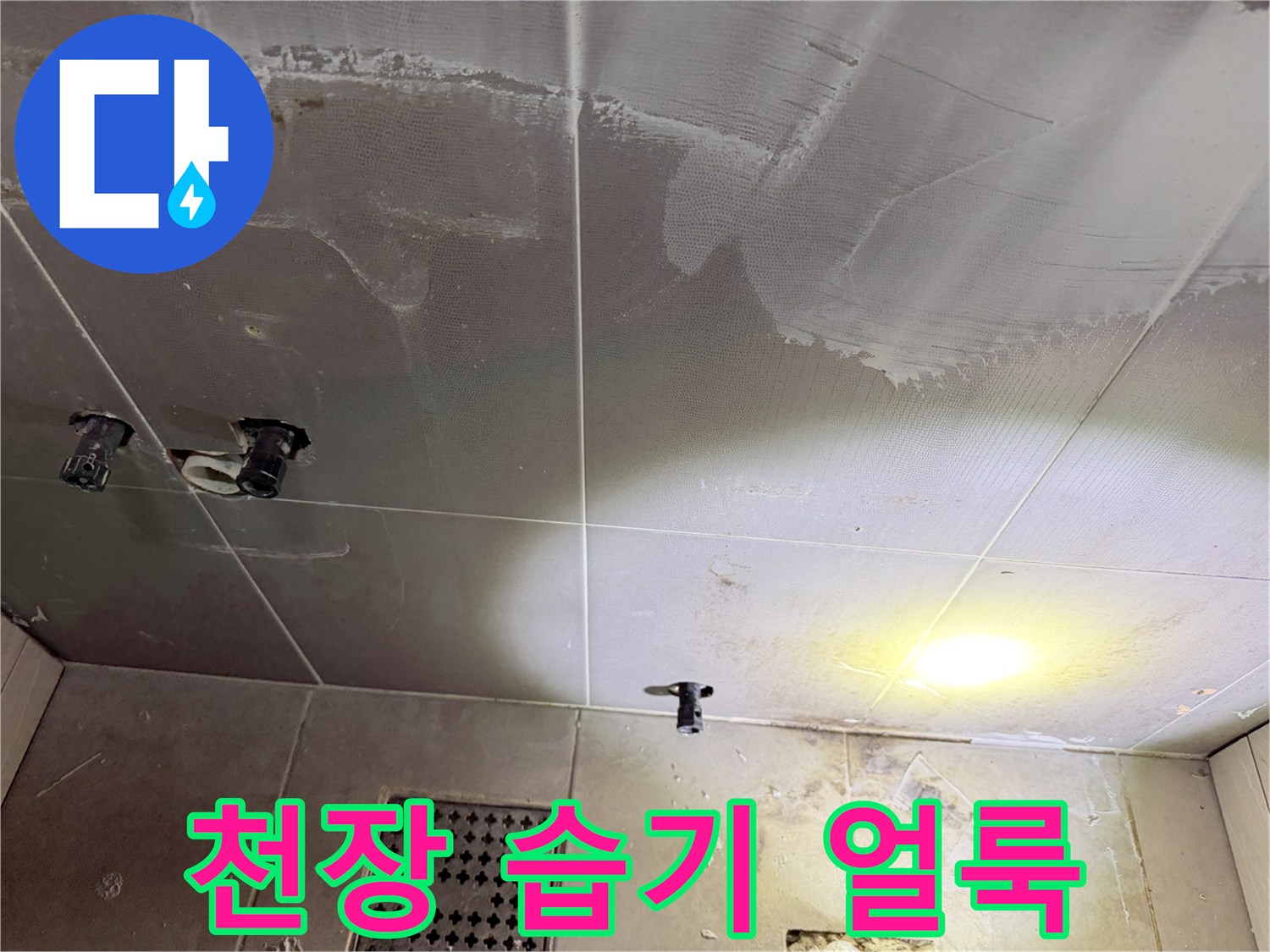 물에-젖어-어두워진-천장재-표면