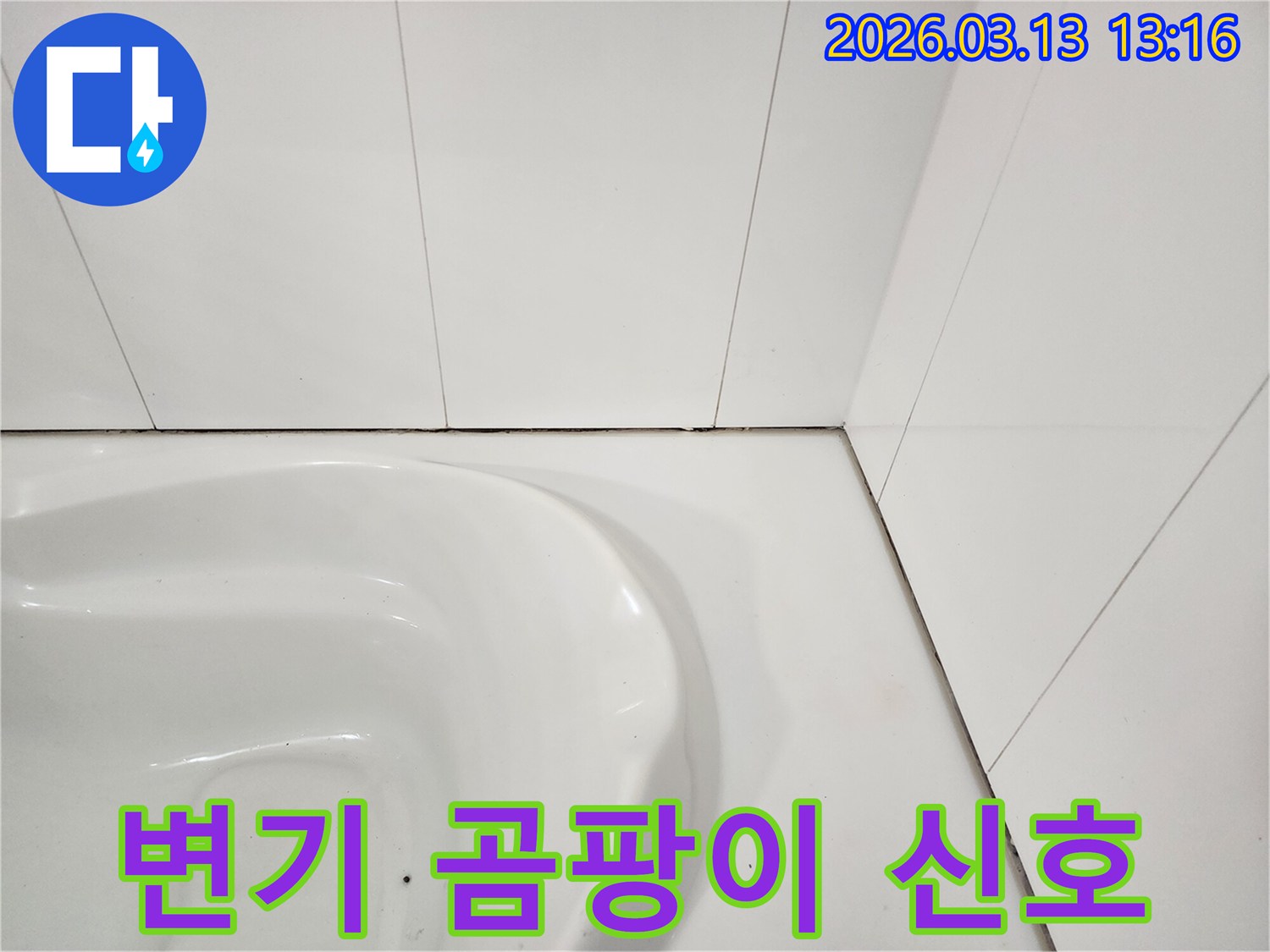 욕실 변기 주변 타일과-벽면 사이의-틈새에 발생한-검은 오염과-곰팡이를 보여주는 사진